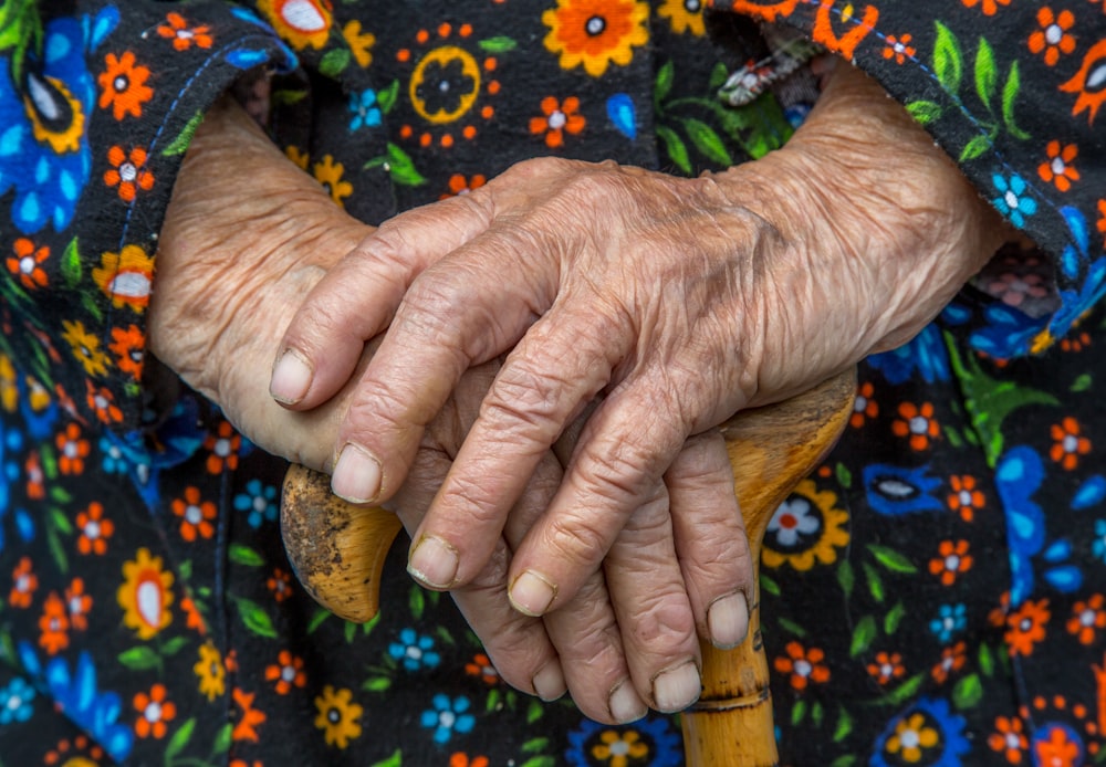 person holding brown wooden stick