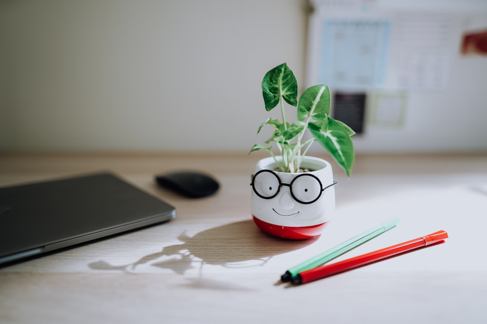 green plant on white ceramic pot beside black laptop computer