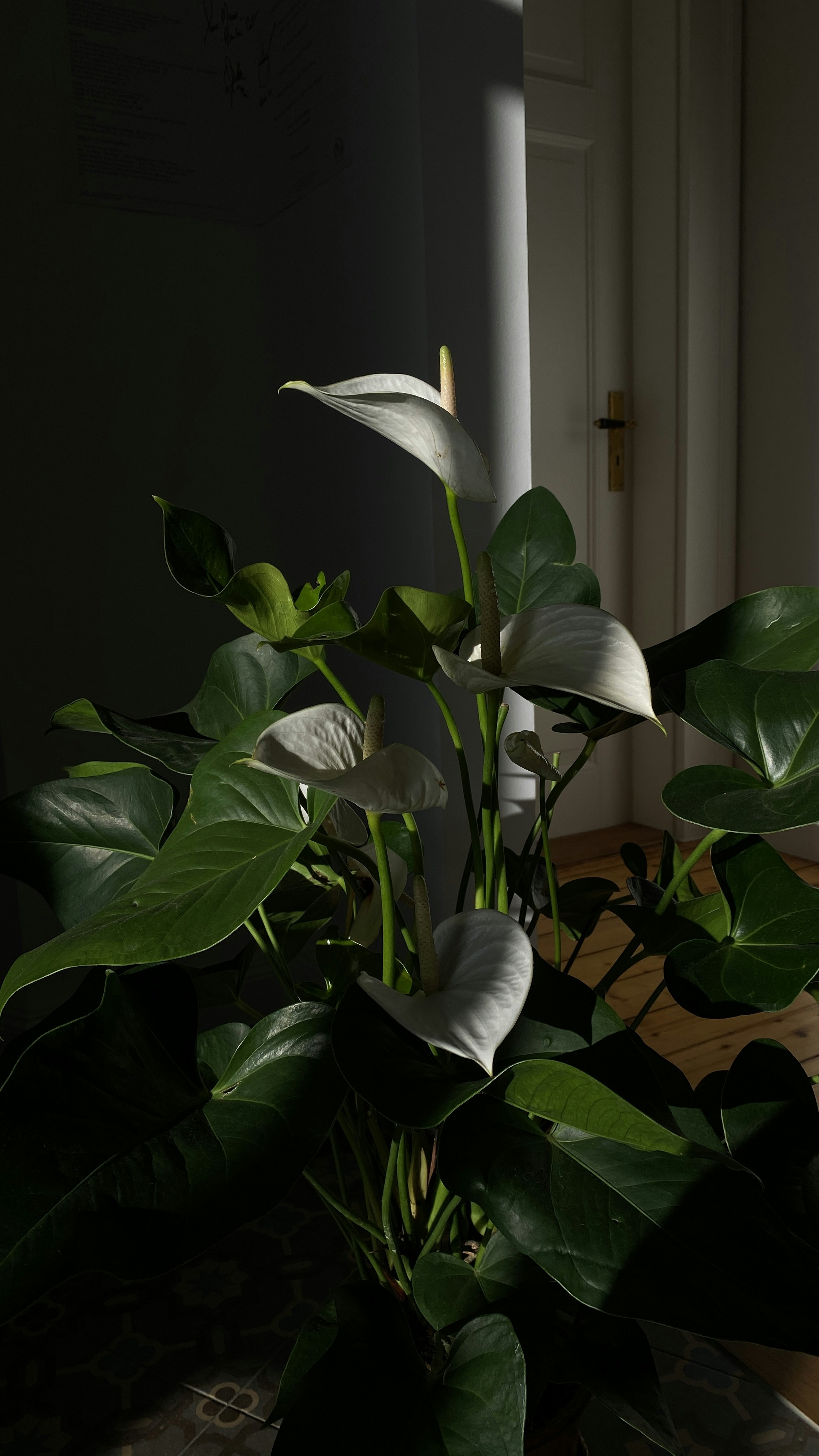 Photo by filipp_roman_photography