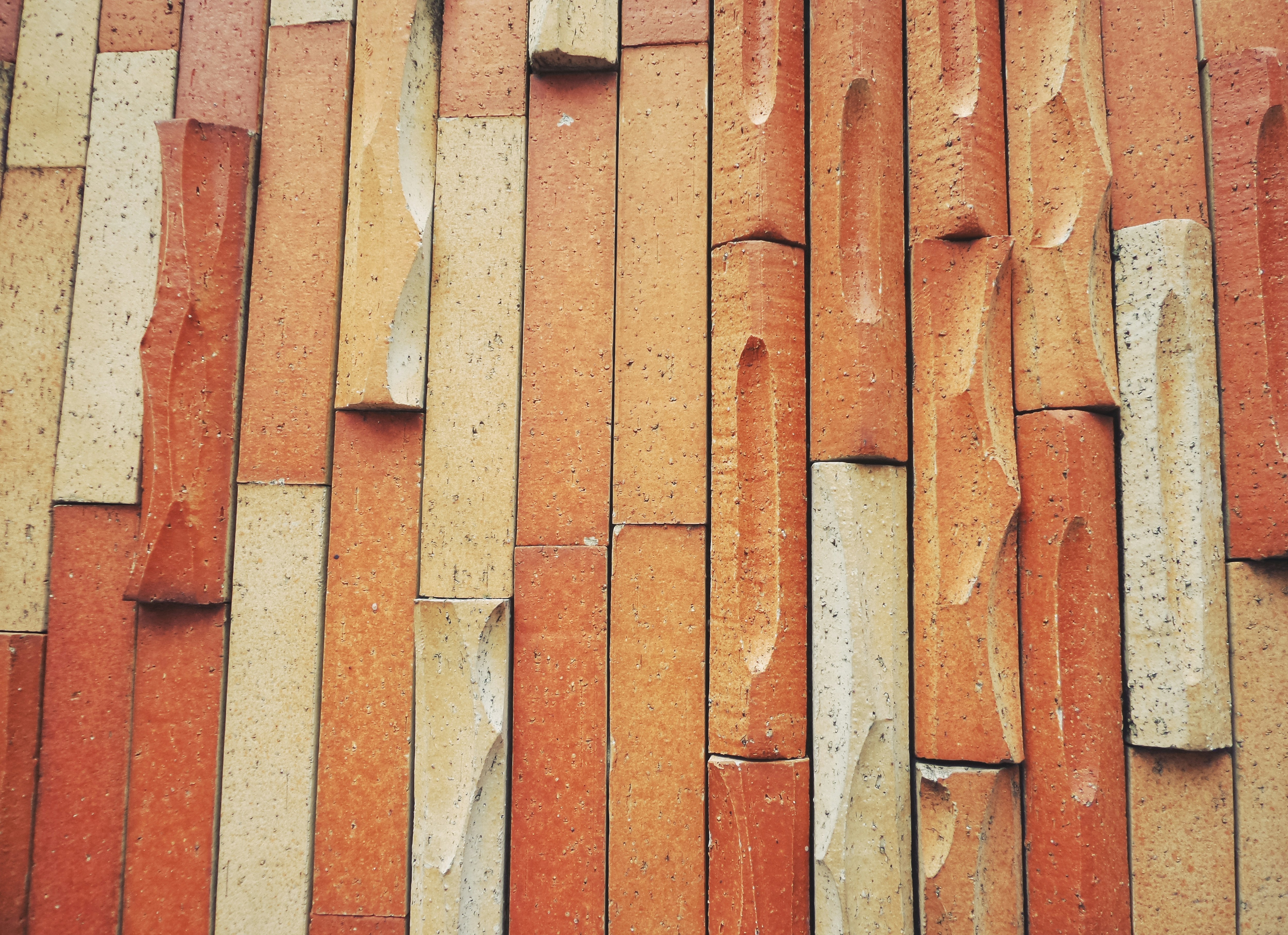 Photo by possessedphotography