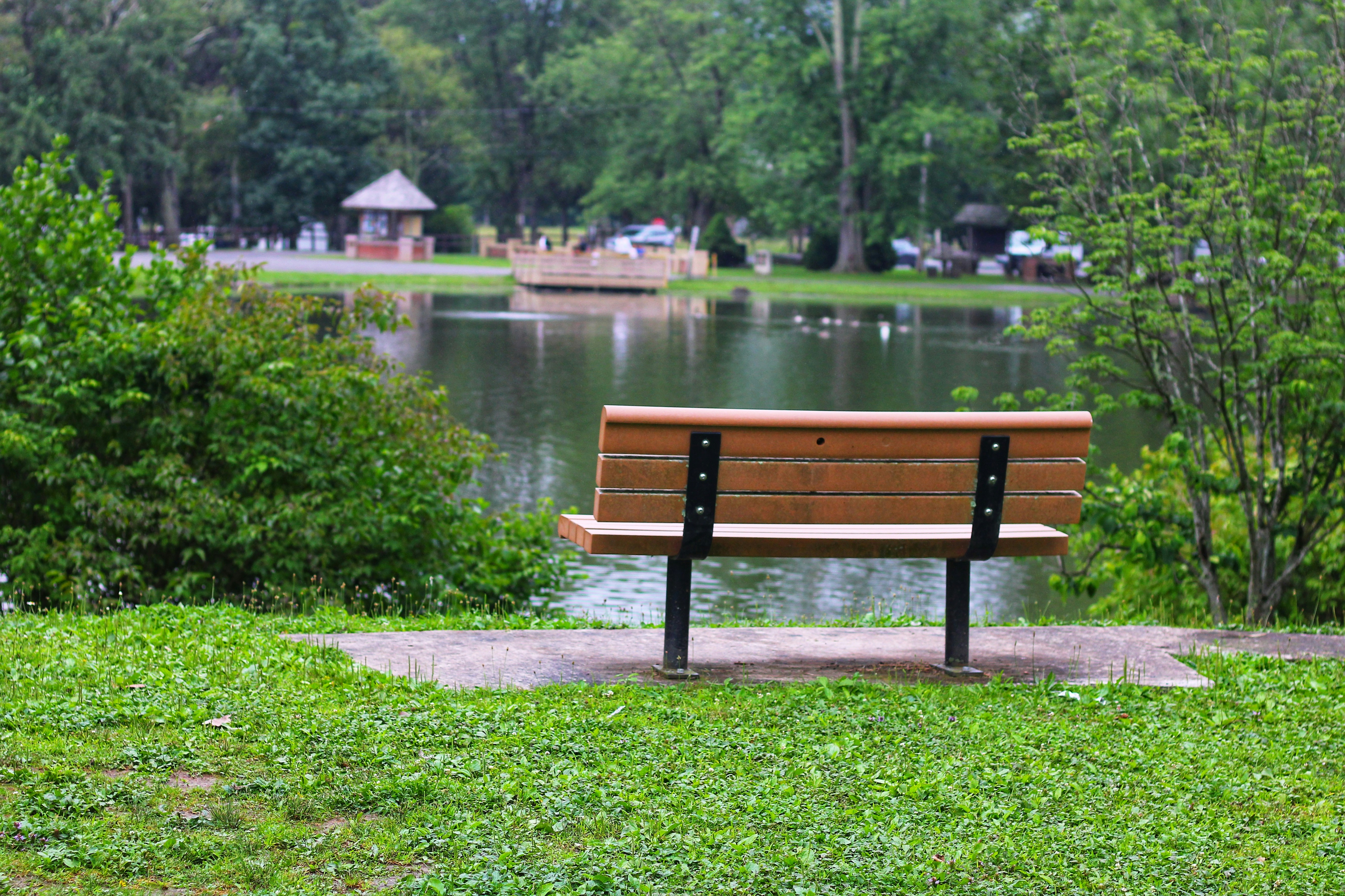 brown wooden bench near body of water during daytime