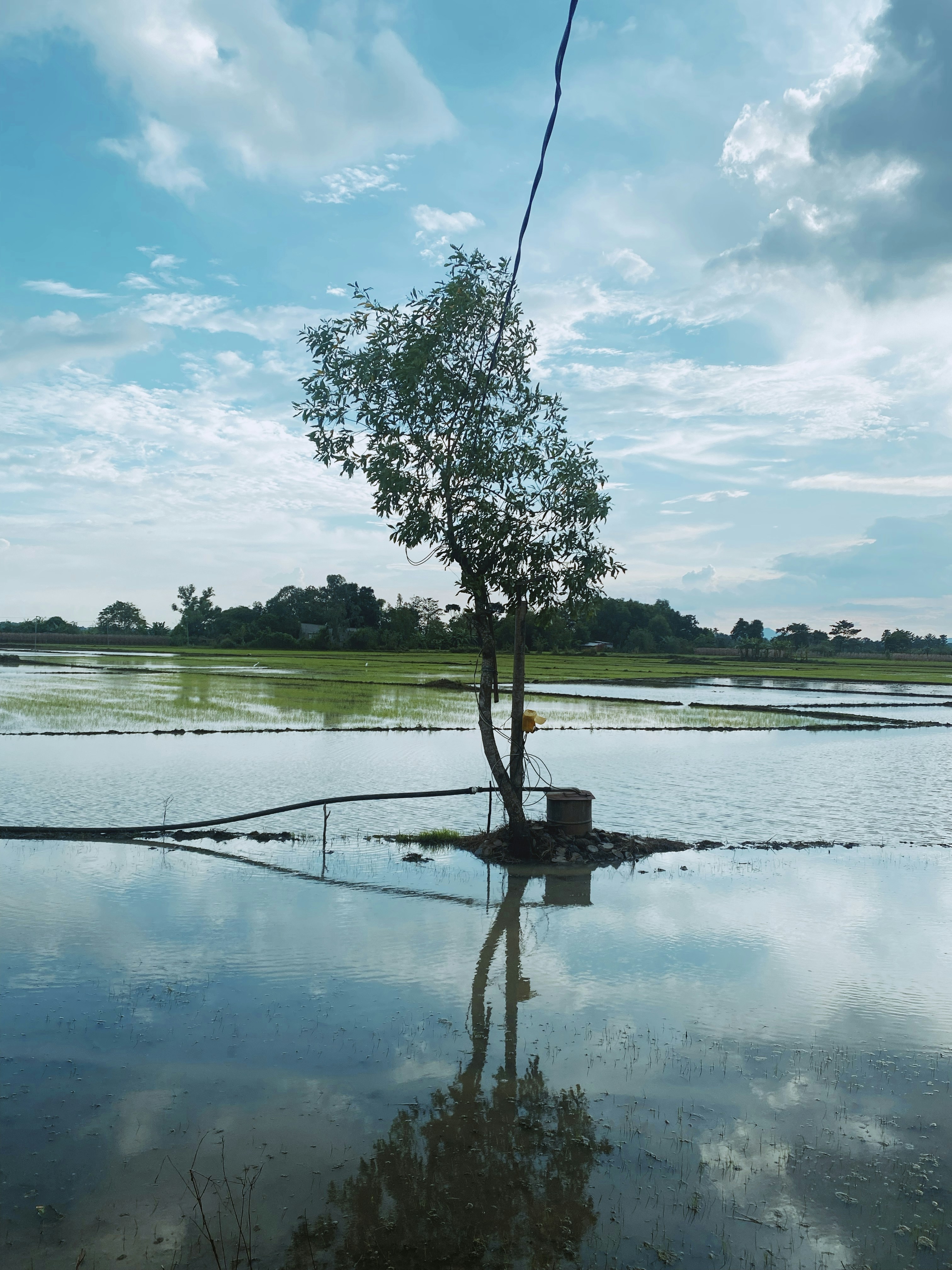Photo by luongbao