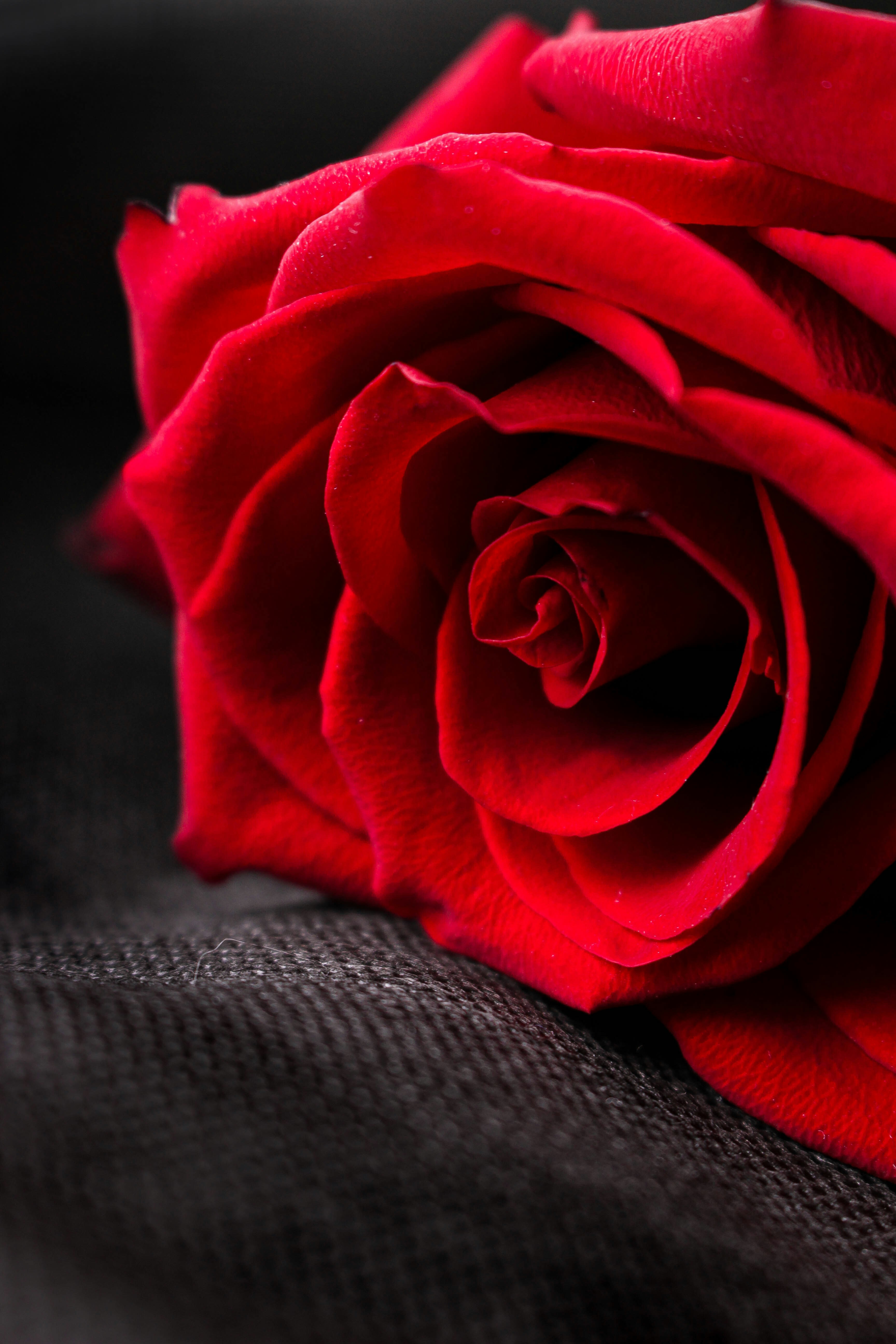 Photo by mashavlasenko