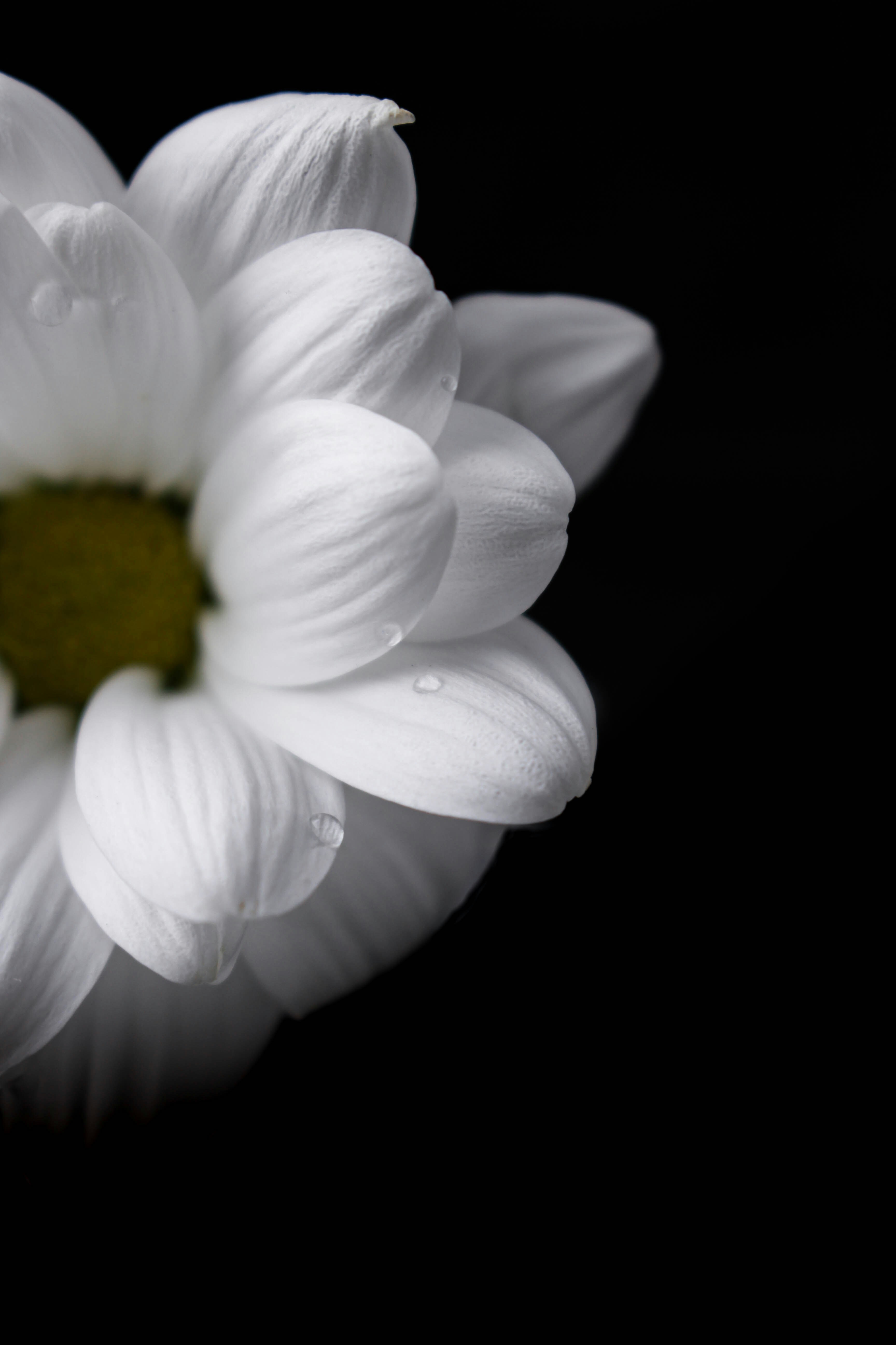 Photo by mashavlasenko