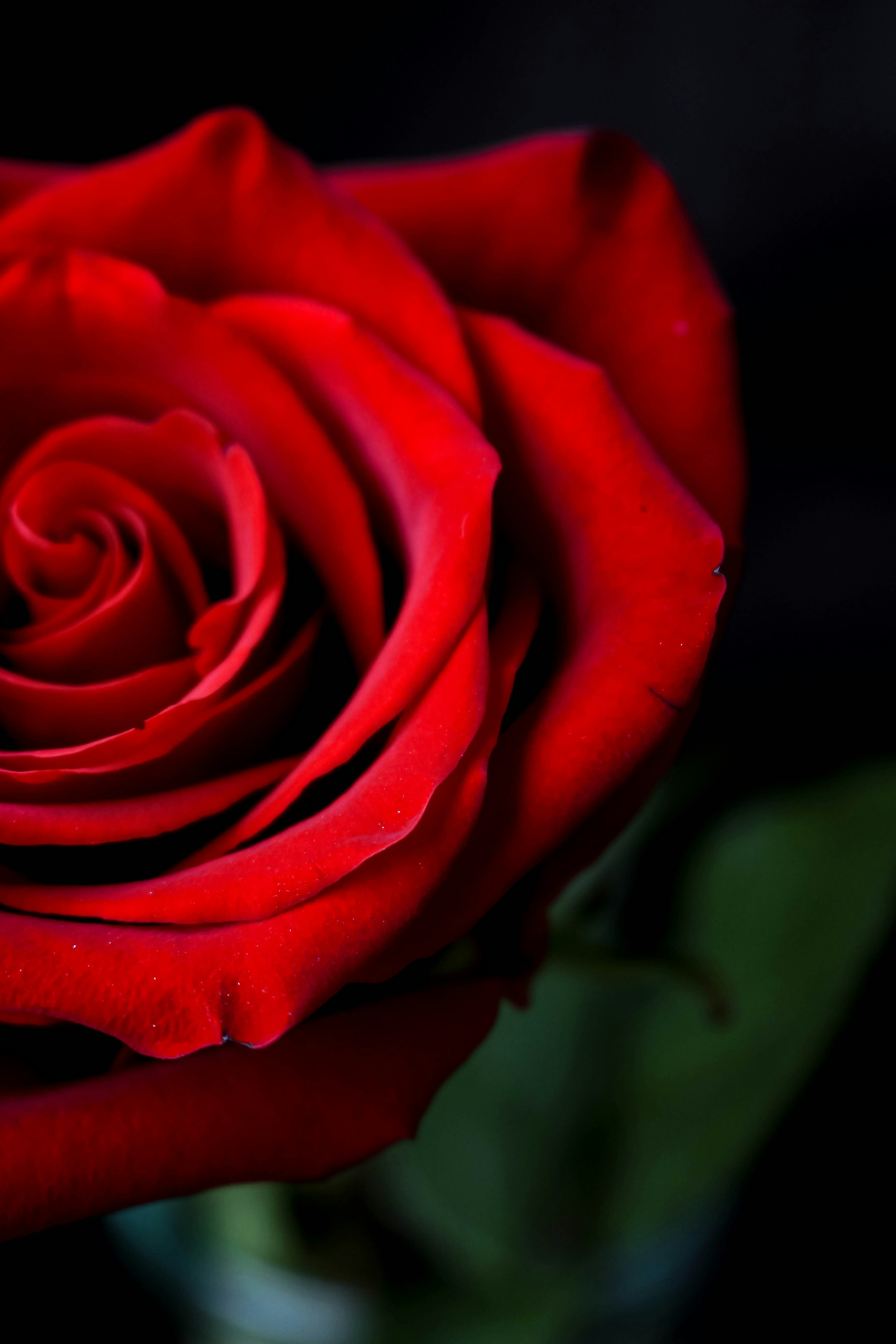 Photo by mashavlasenko