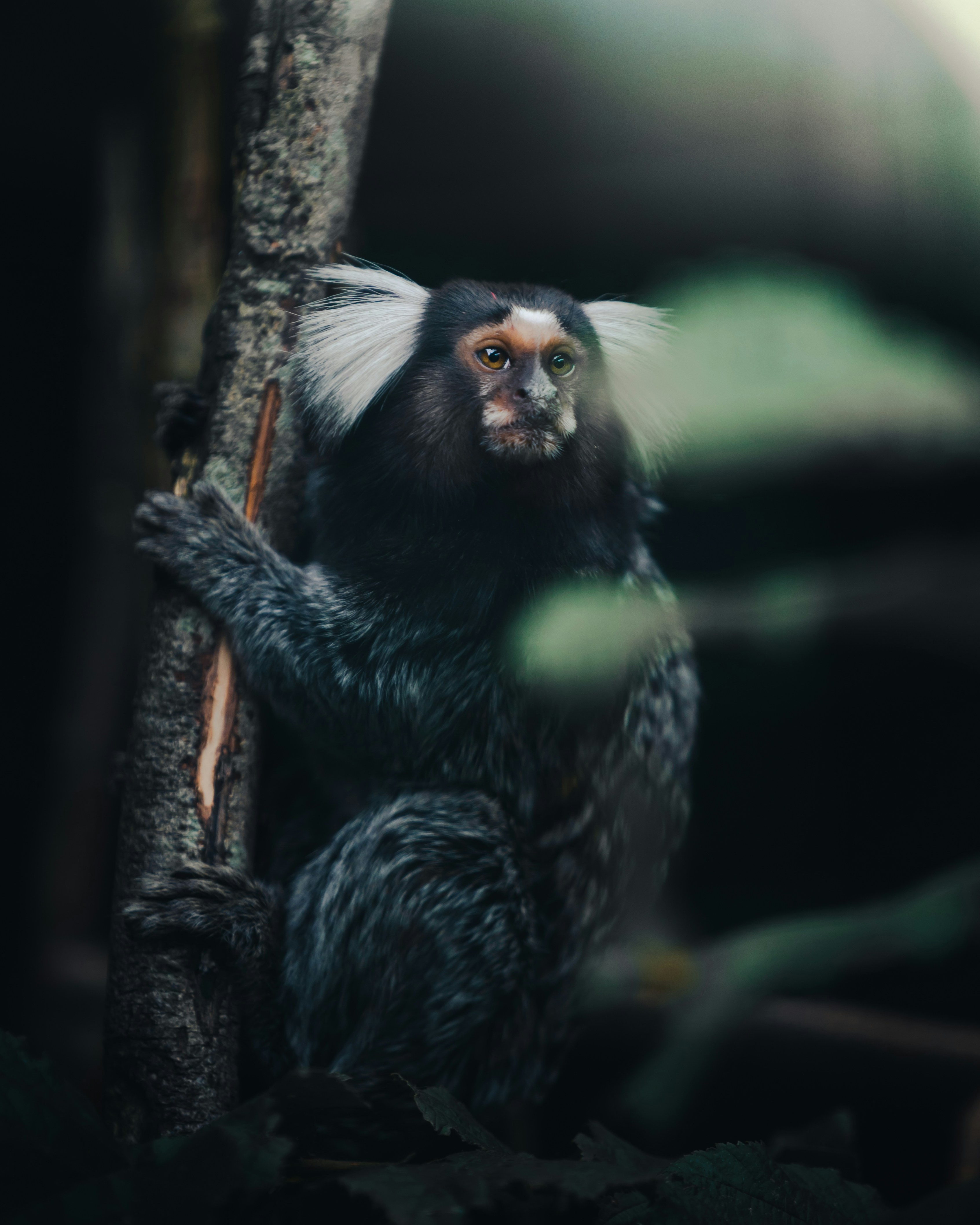 Photo by lachlangowen