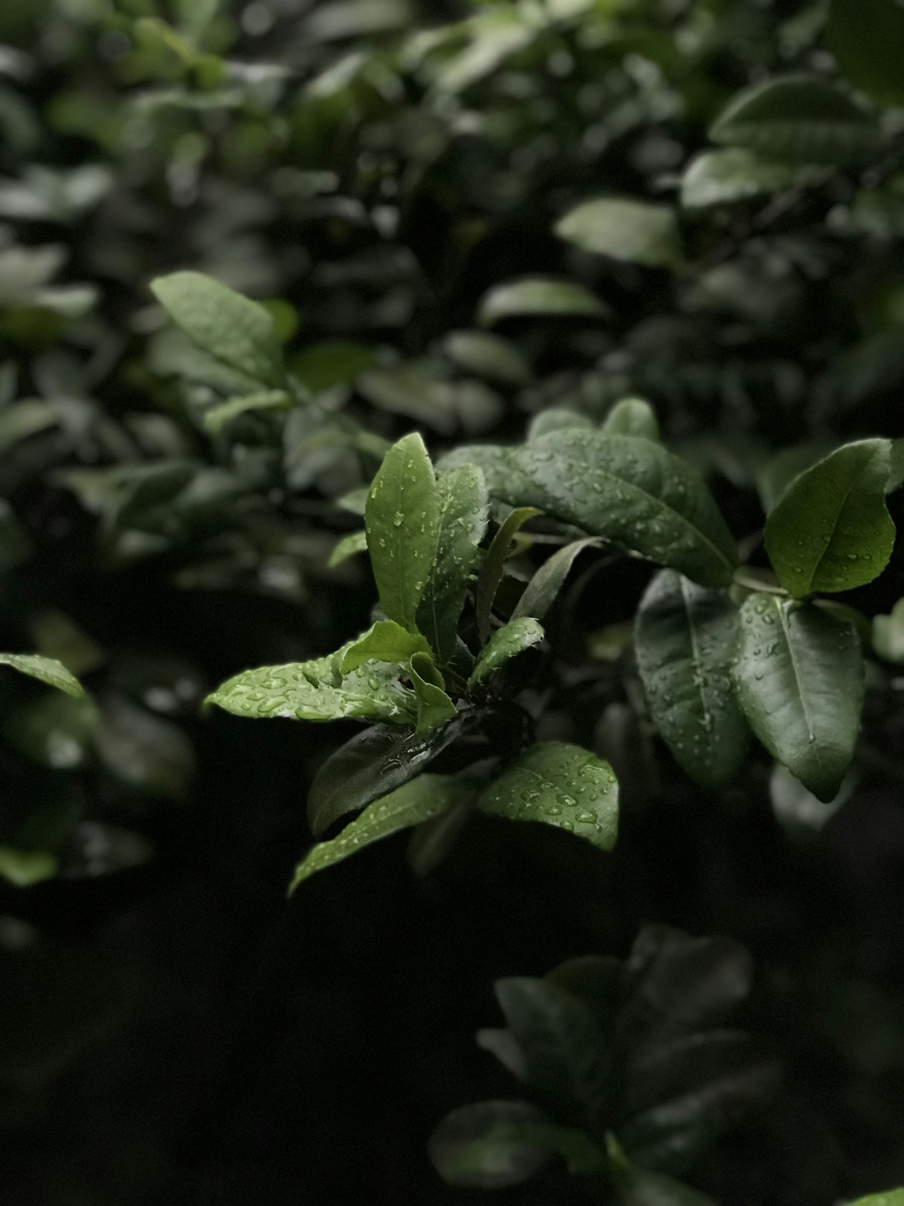 Photo by josh_na_lang