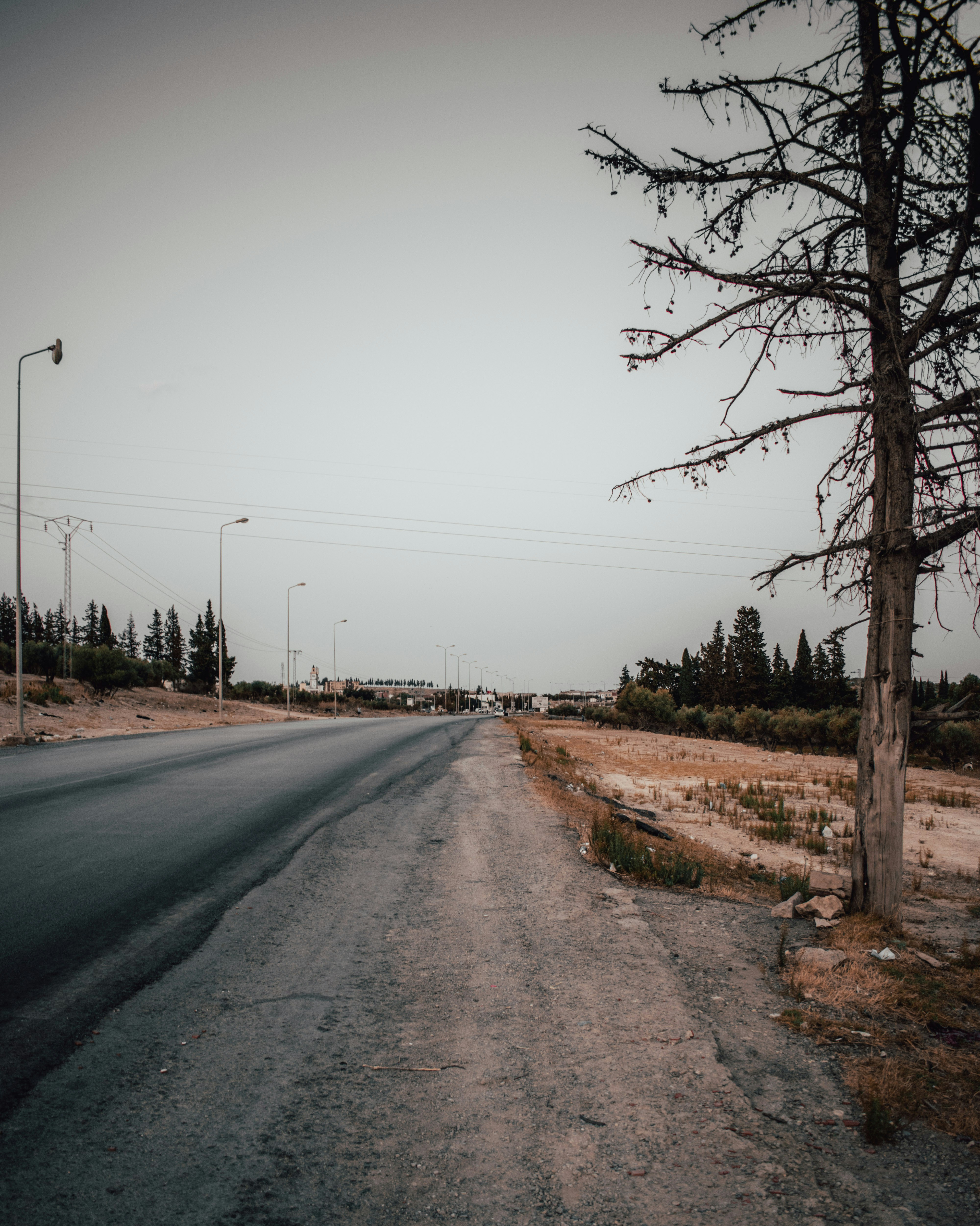 Photo by bilal_ayadi