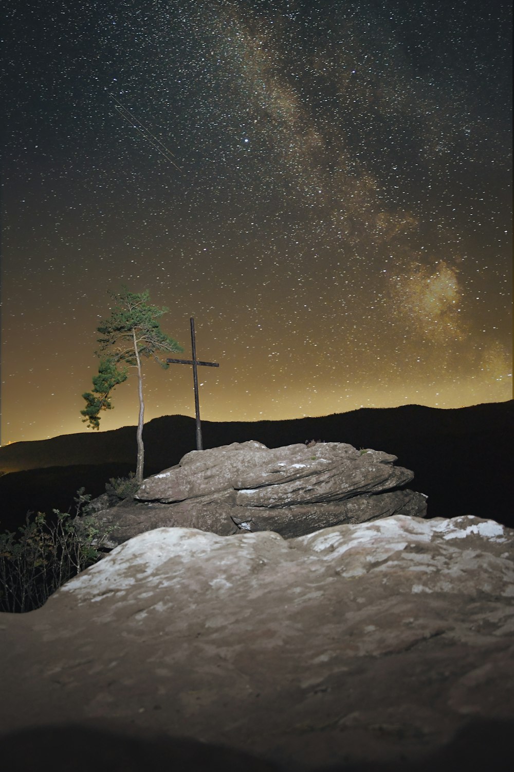 green tree on gray rock during night time