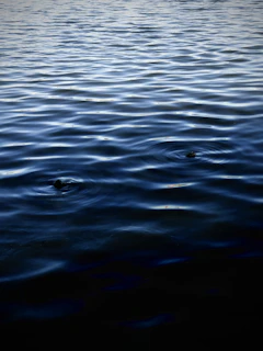 Visual representation of wave interference patterns in water