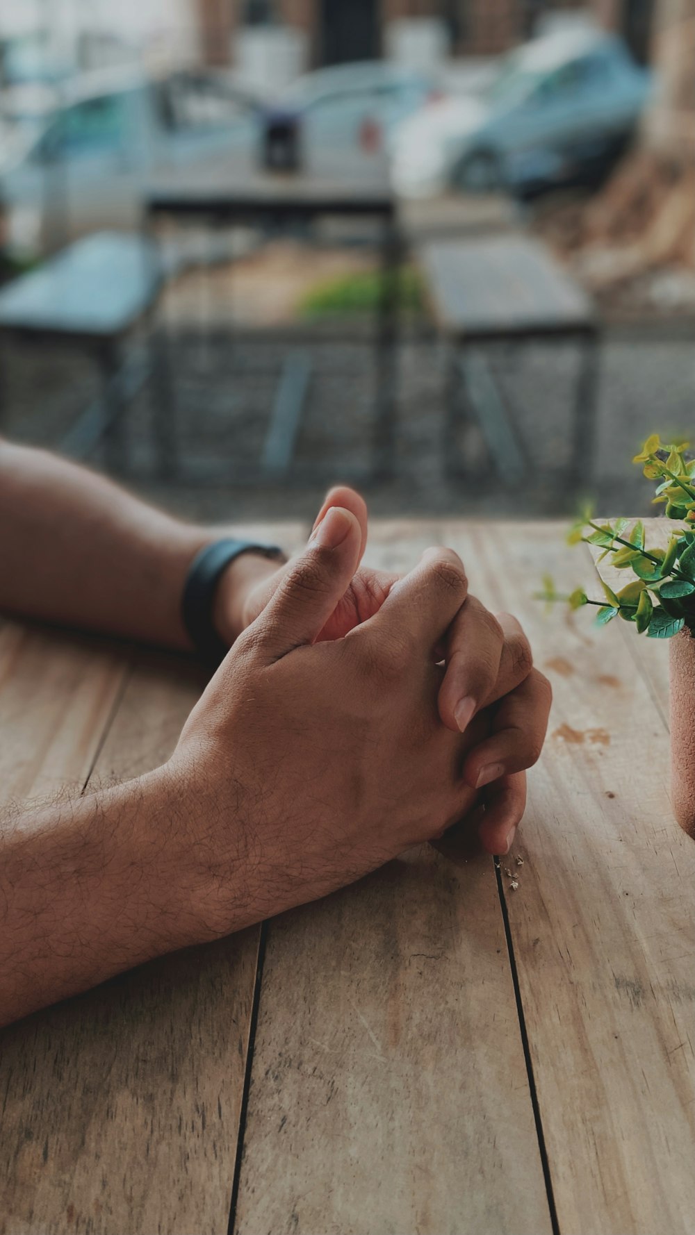 person holding green plant on brown wooden table