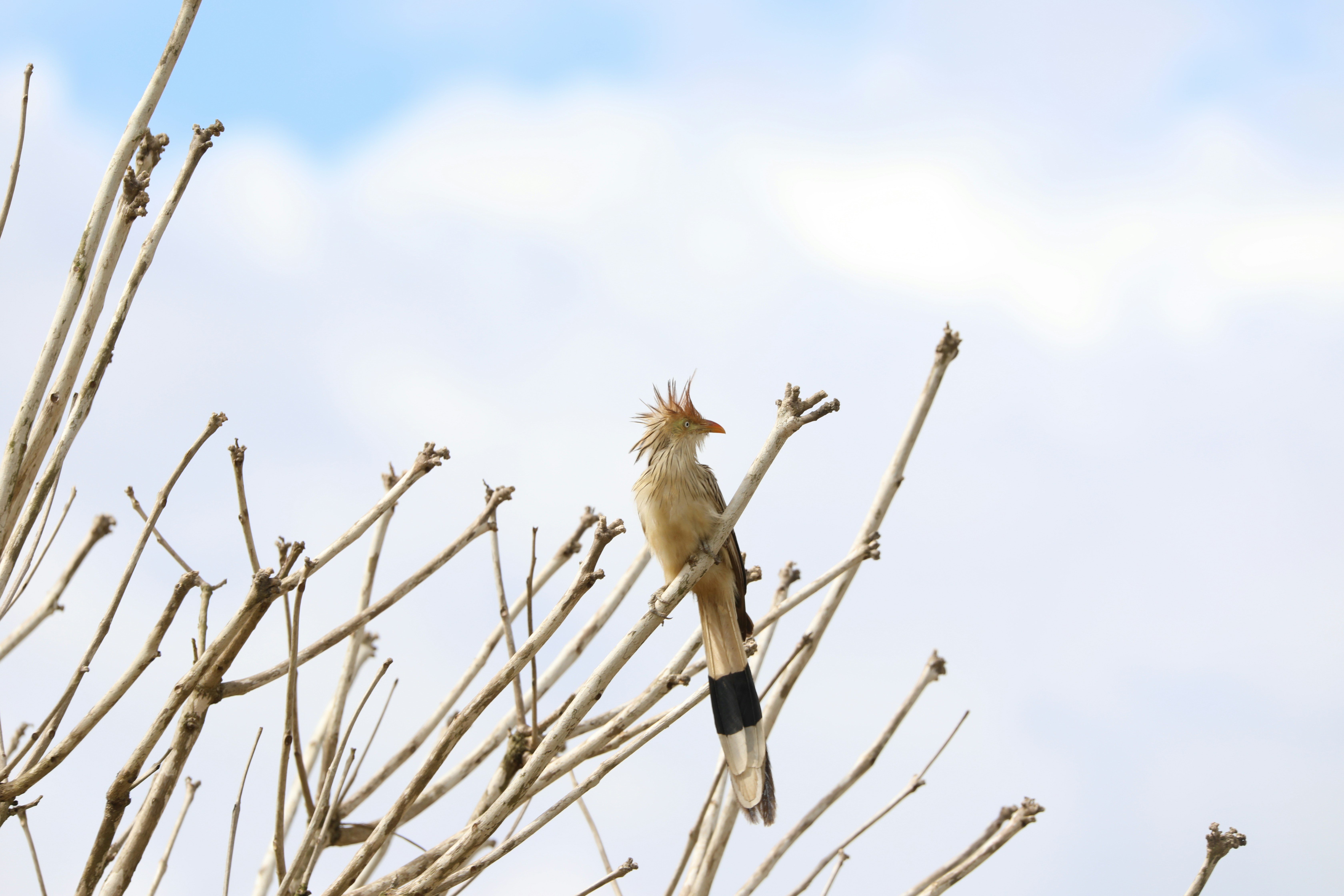 Photo by marcusdallcol