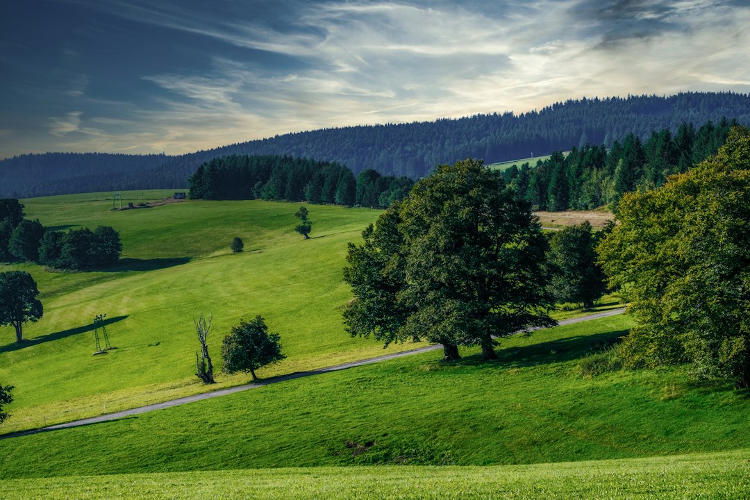 Schauinsland - Hofsgrund
