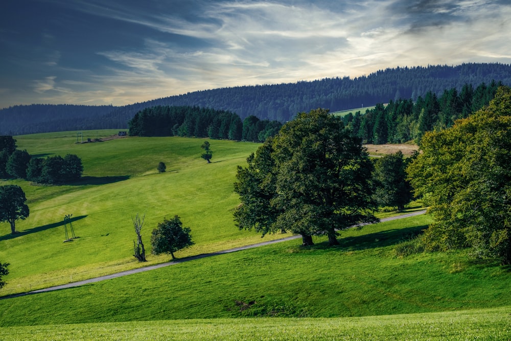 green grass field surrounded by green trees under blue sky during daytime