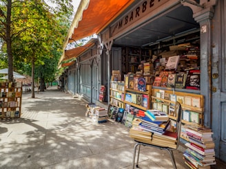 A quaint outdoor bookshop with stacks of books displayed on shelves and a chair, lined up under an orange canopy. The scene is set along a sunlit, tree-lined sidewalk with shadows cast by the branches.