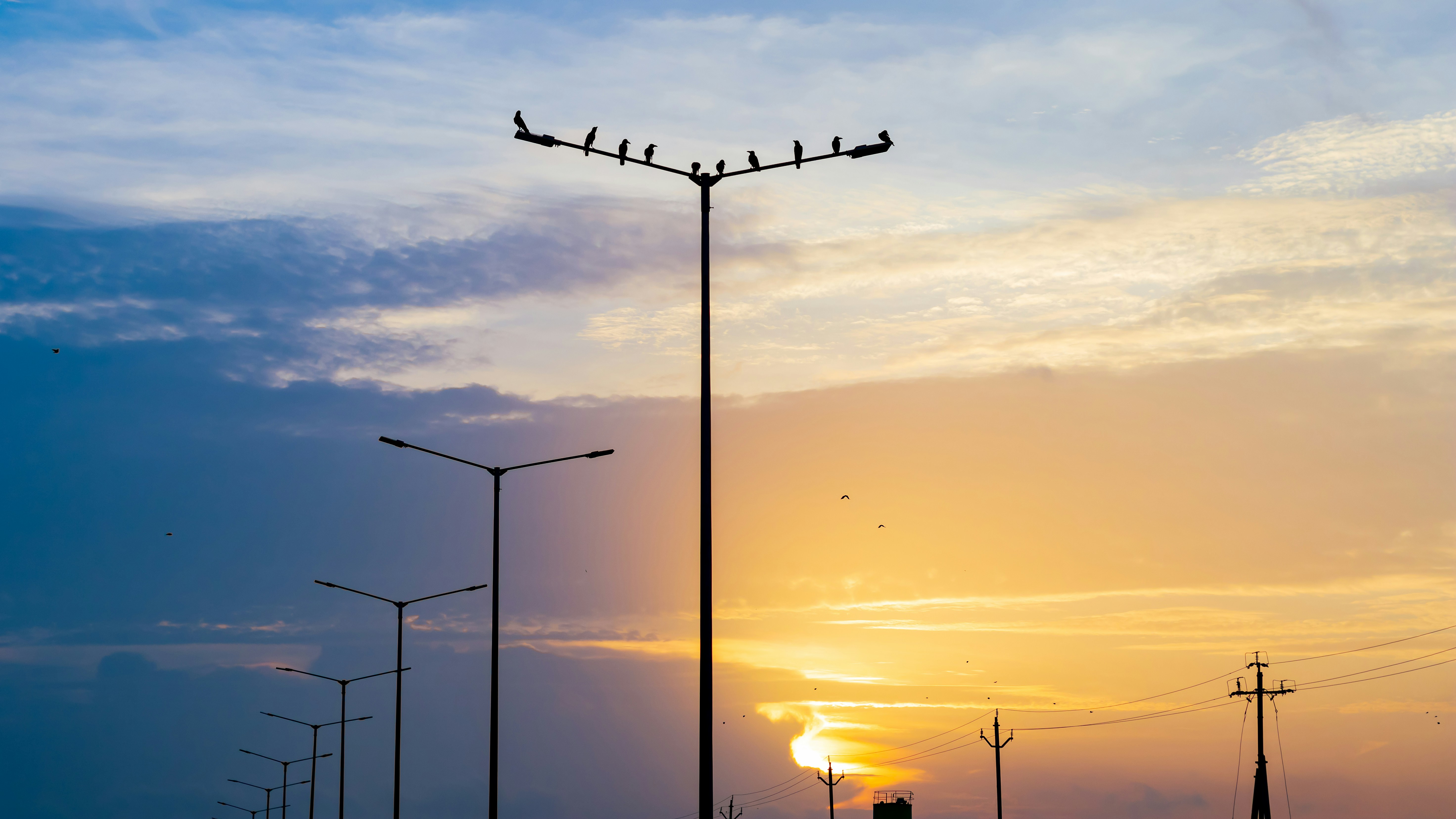 silhouette of wind turbines during sunset