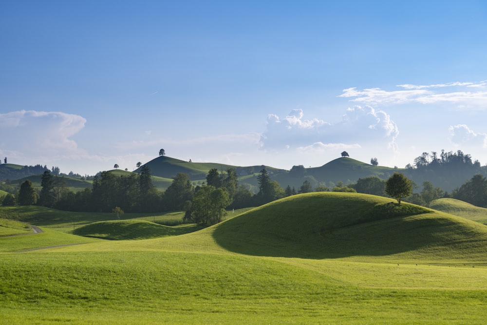 Grünes Grasfeld unter blauem Himmel tagsüber