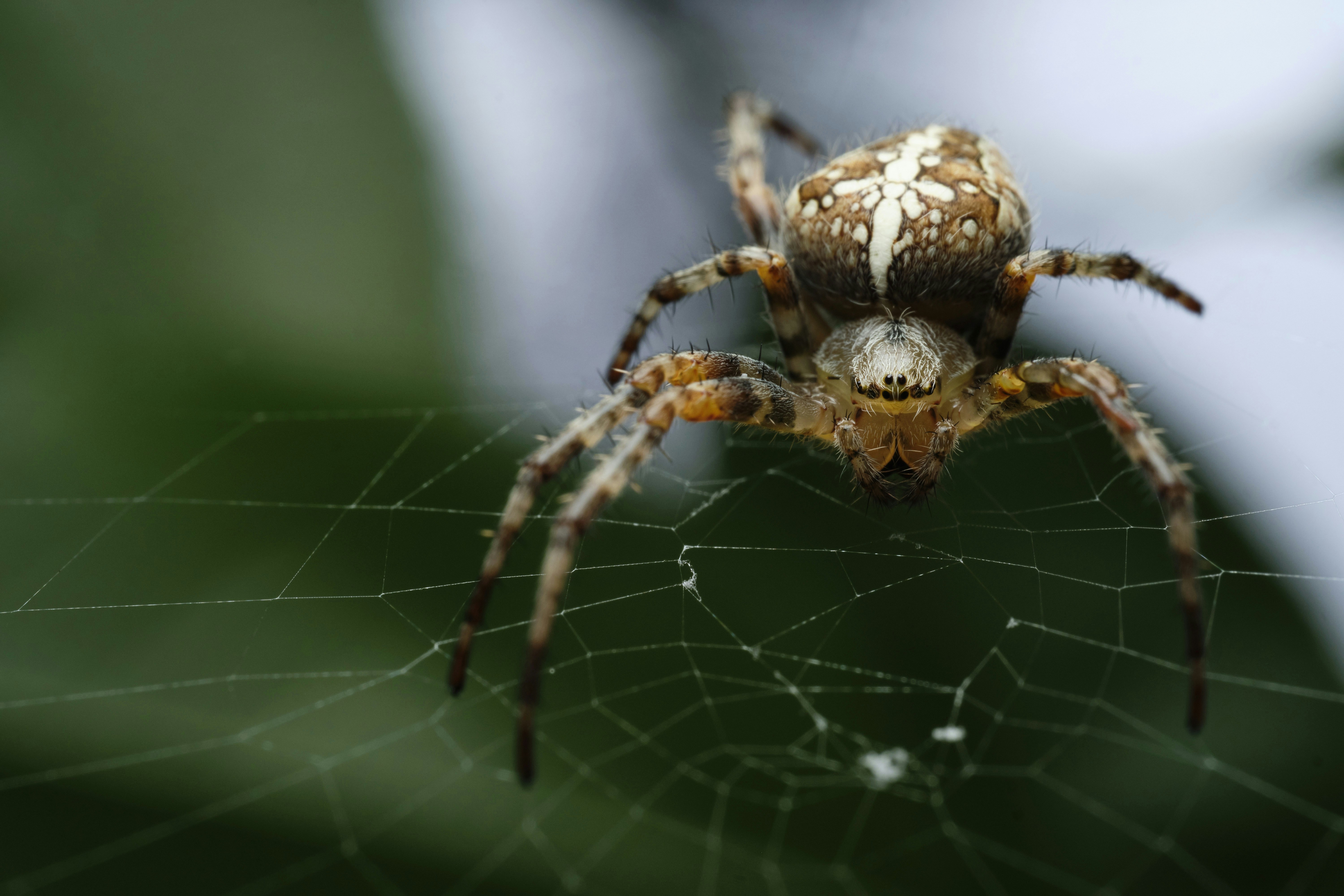 Photo by victor_vector