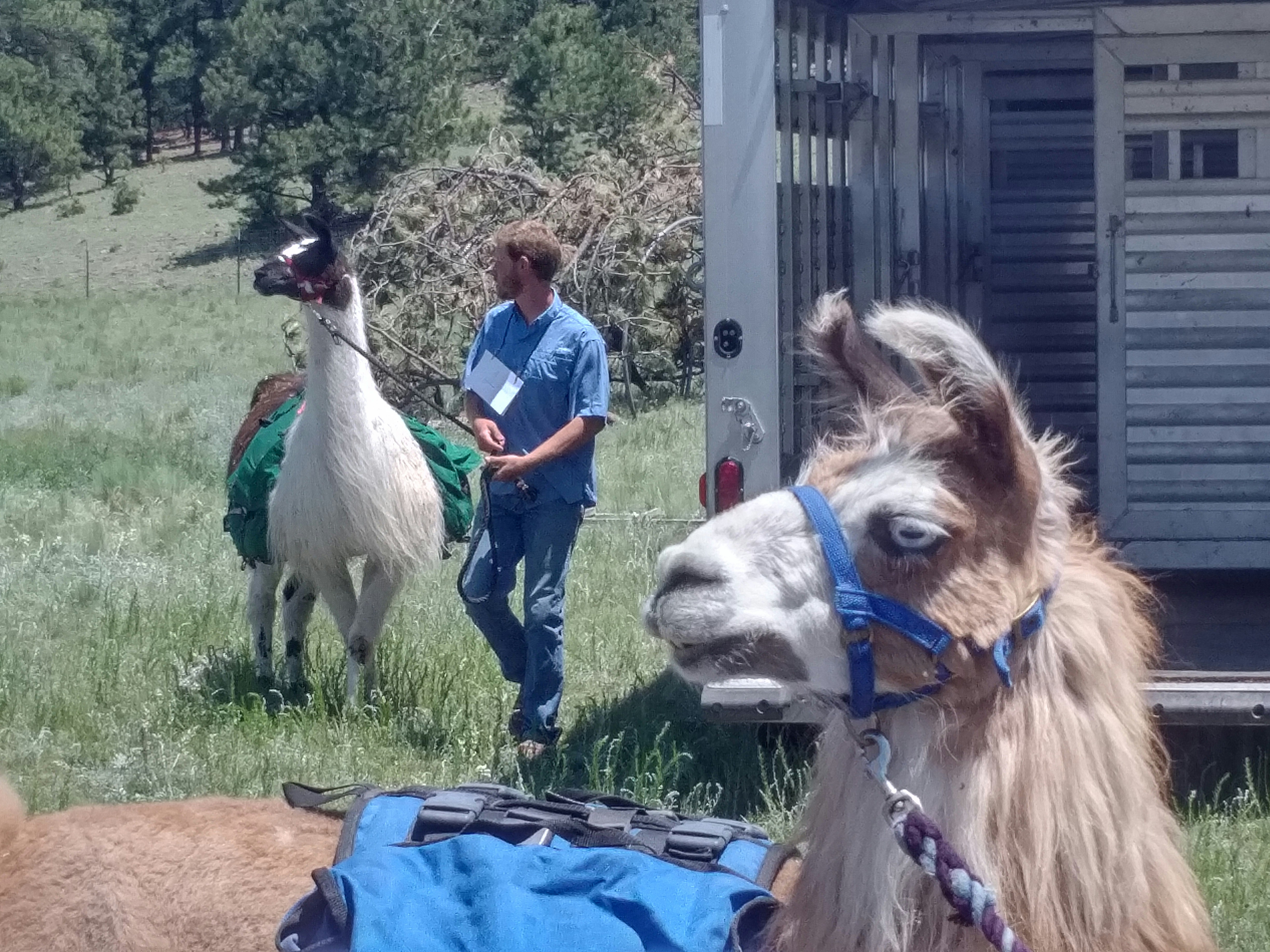 Gente montando a caballo durante el día