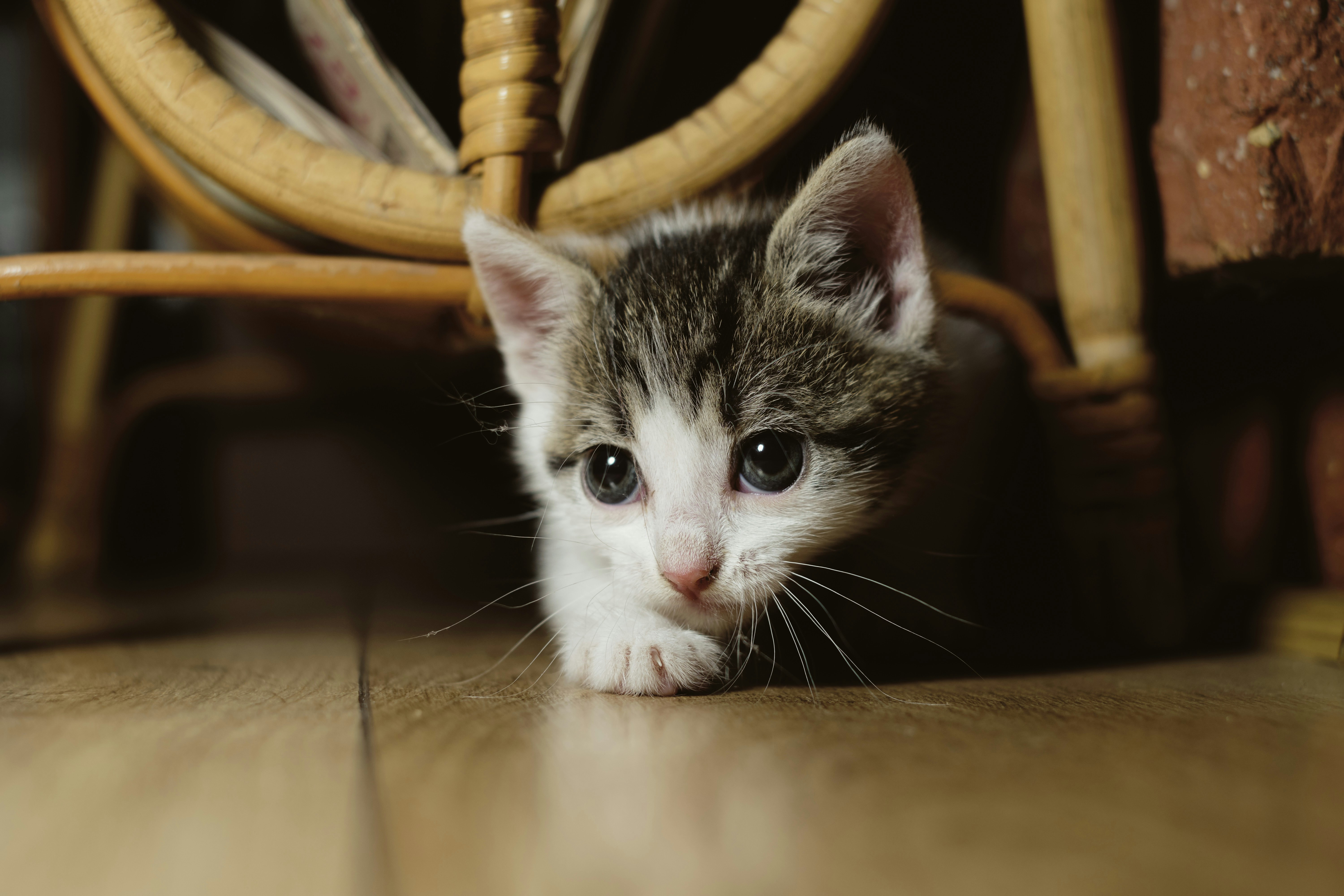 Photo by victor_vector