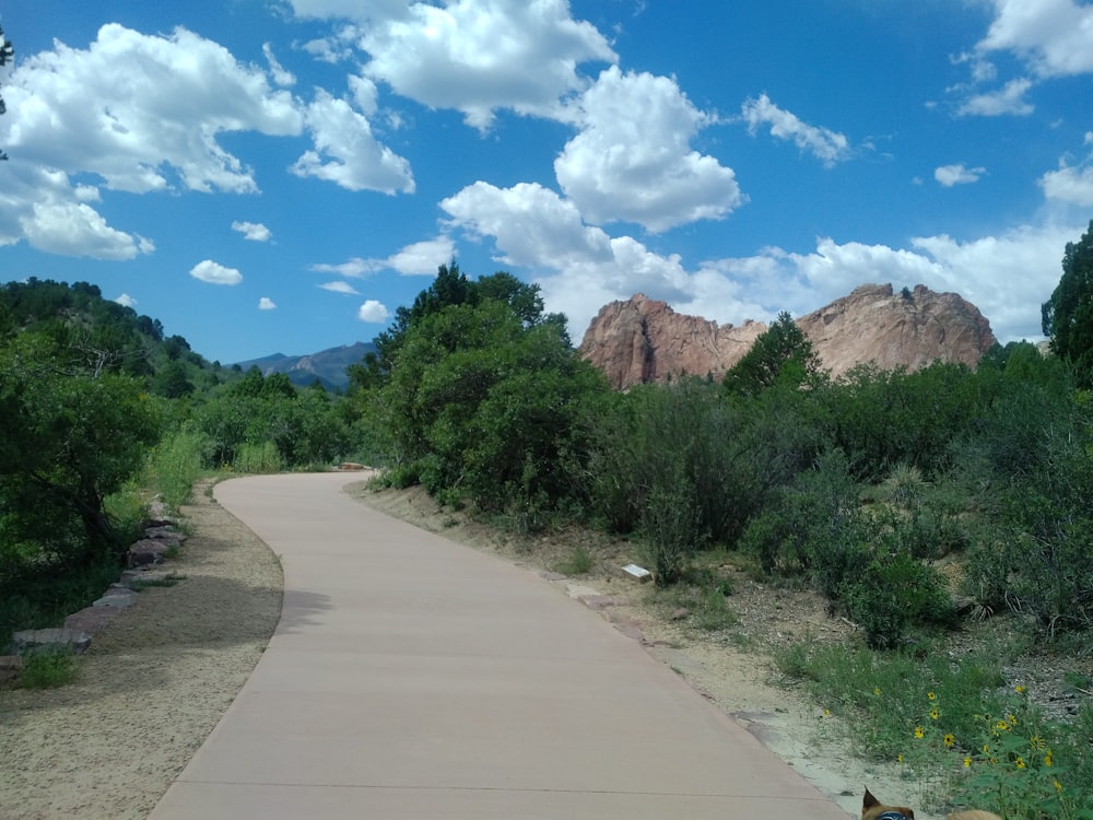 gray concrete road between green grass field under blue sky and white clouds during daytime