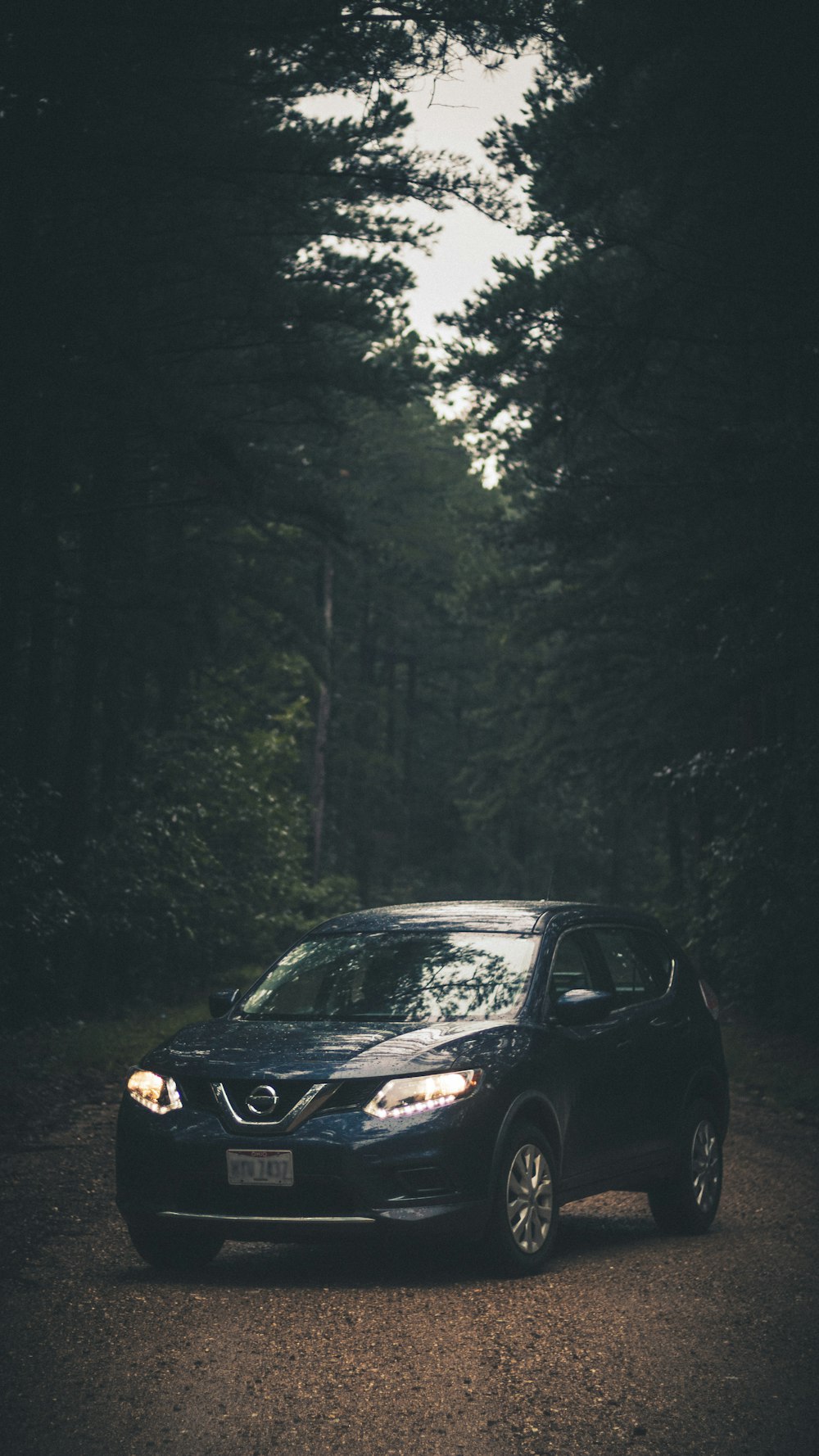 black car in the forest
