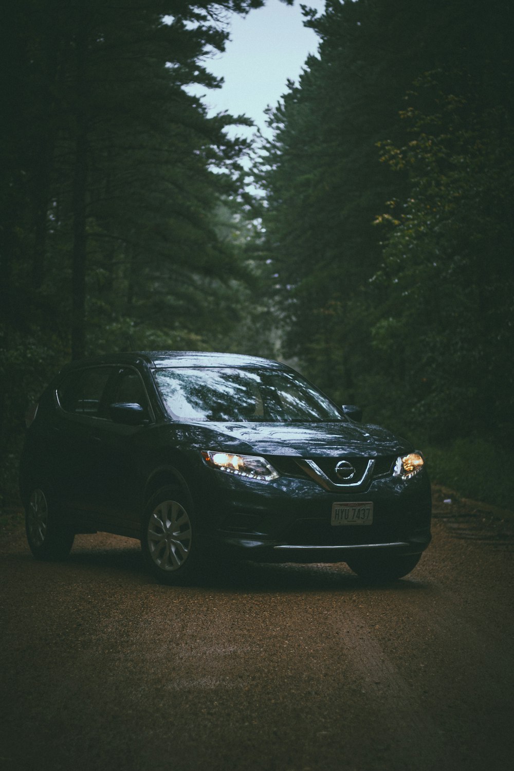 Honda sedán negro en carretera