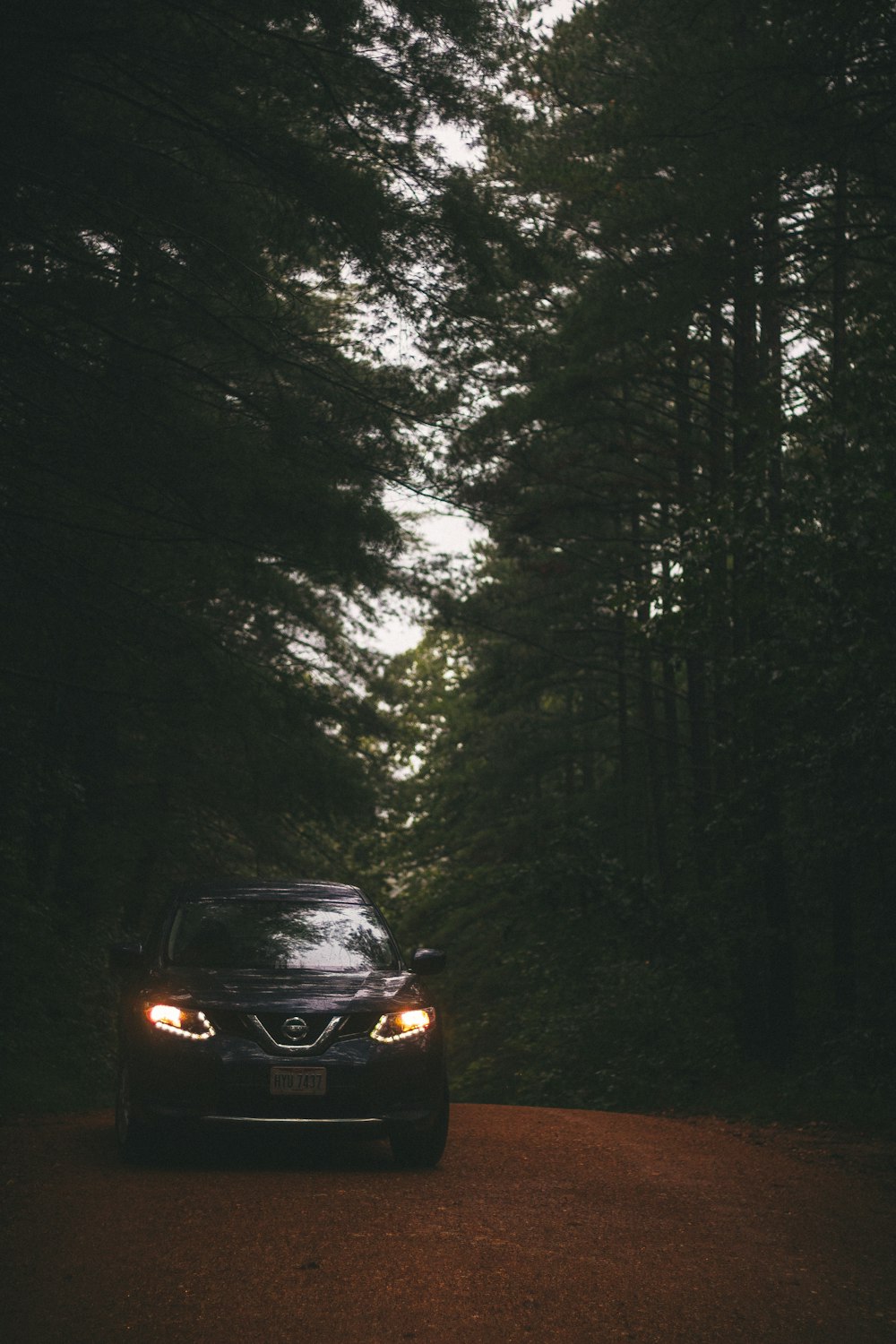 black car in the middle of the forest during night time