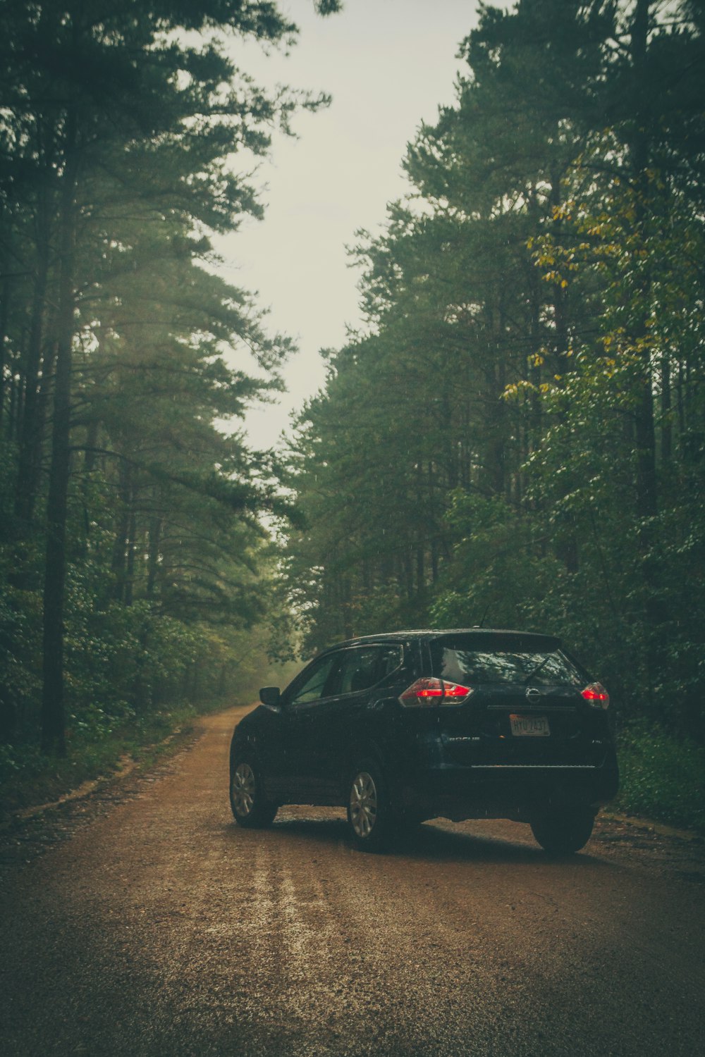 berline noire sur la route entre les arbres pendant la journée