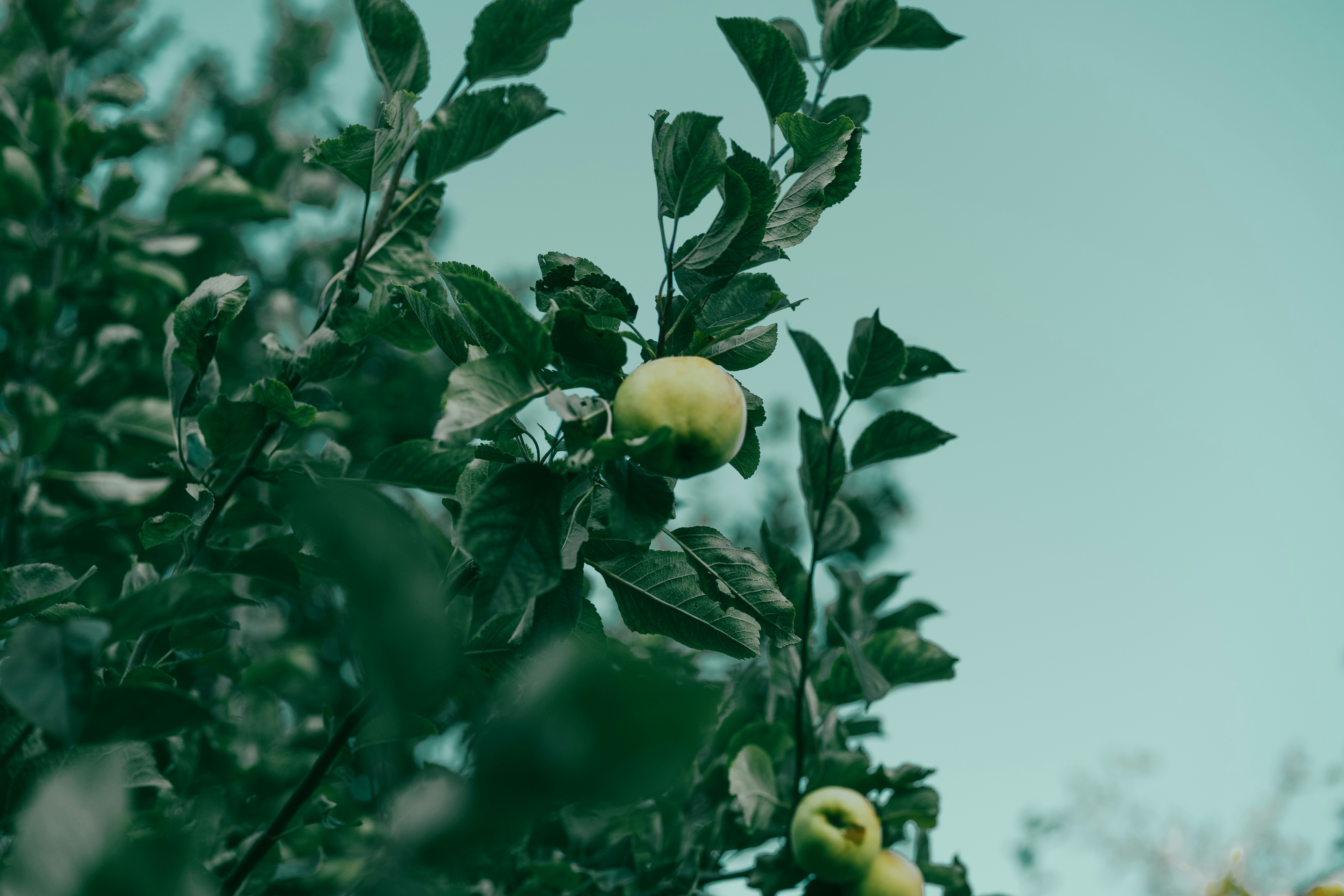 Photo by motivesandplaces