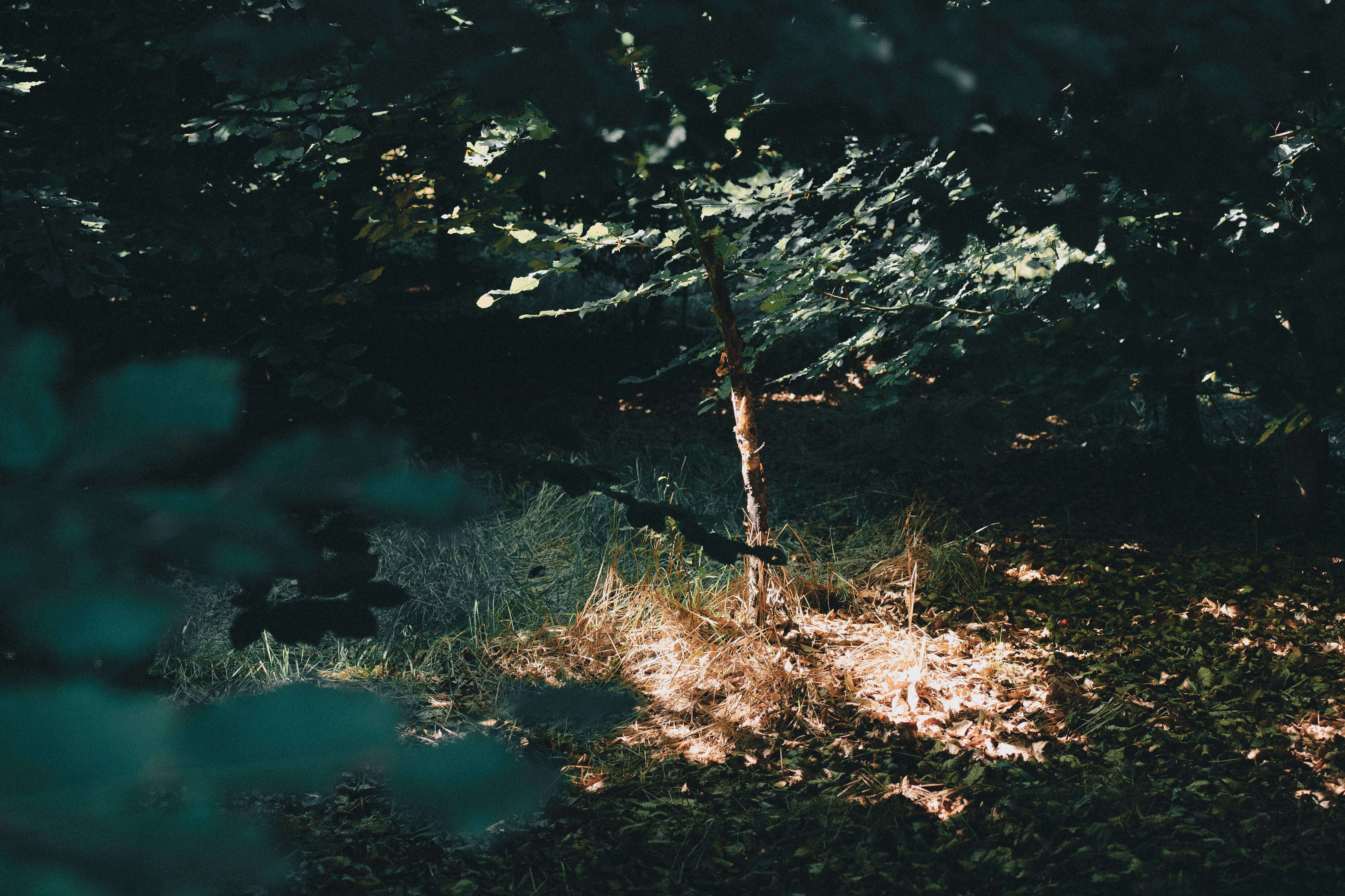 Photo by motivesandplaces