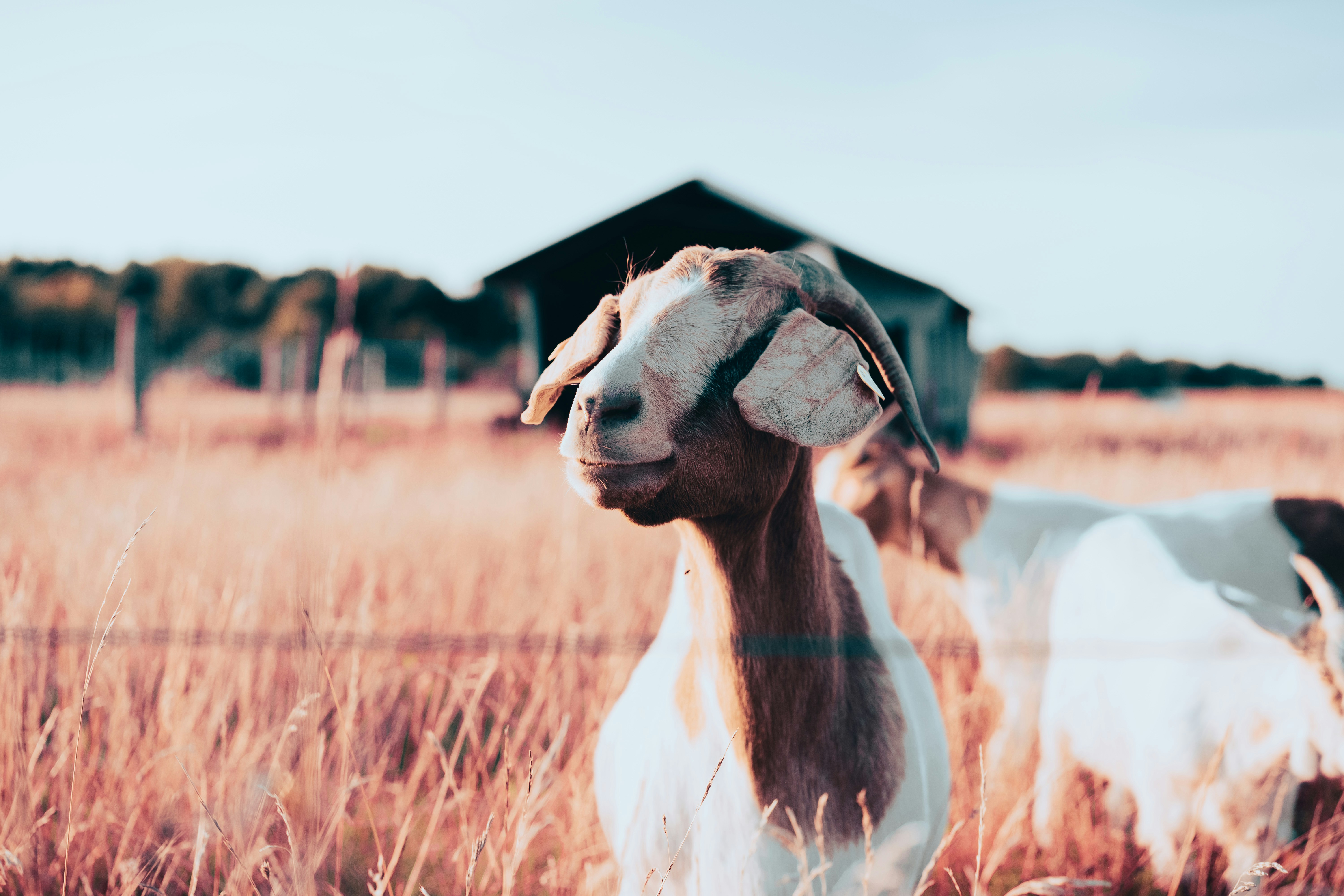 Photo by motivesandplaces