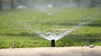 Irrigation repair and maintenance in Jacksonville FL