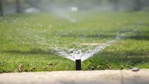 Watering the lawn after applying fertilizer helps reduce surface residues.