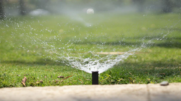 A pop‑up sprinkler watering a healthy lawn in Kurtovo Konare, part of a garden irrigation setup
