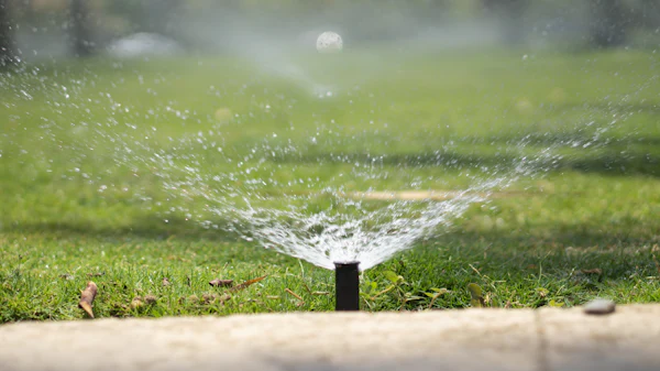 Irrigation in Sandy Springs, GA
