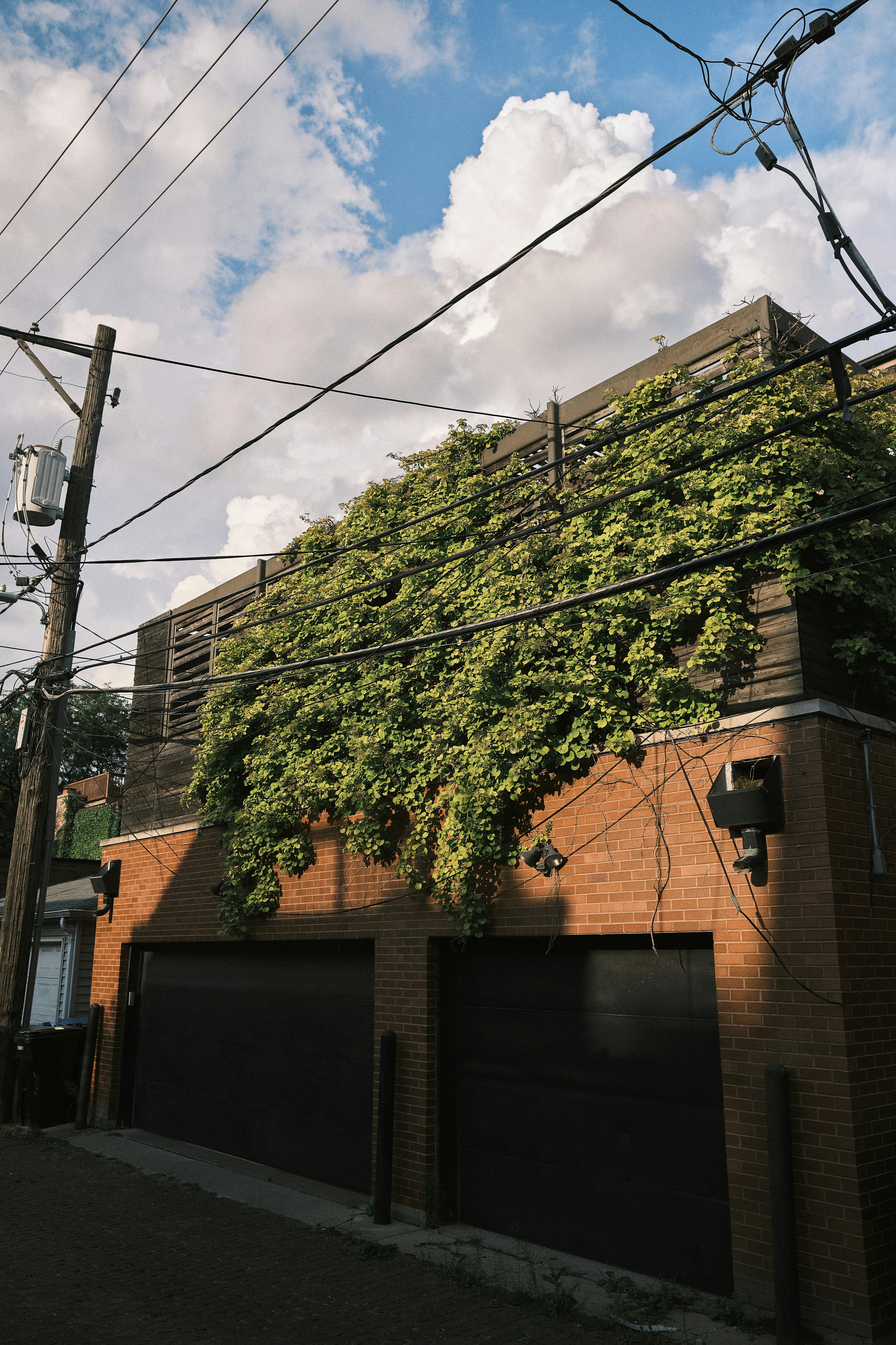 Plante de vigne verte sur un bâtiment en briques brunes pendant la journée