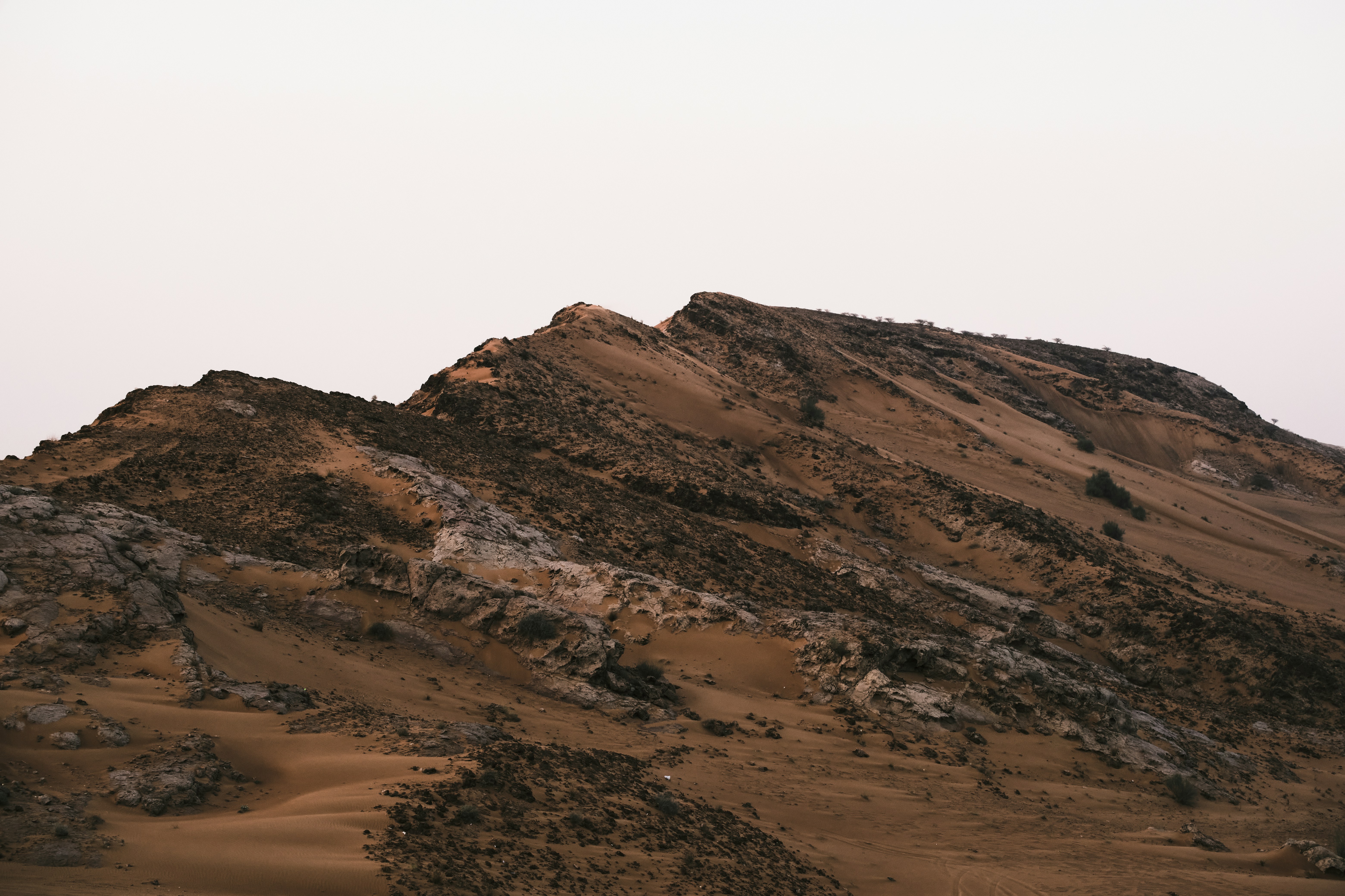 Photo by lazyeyedone