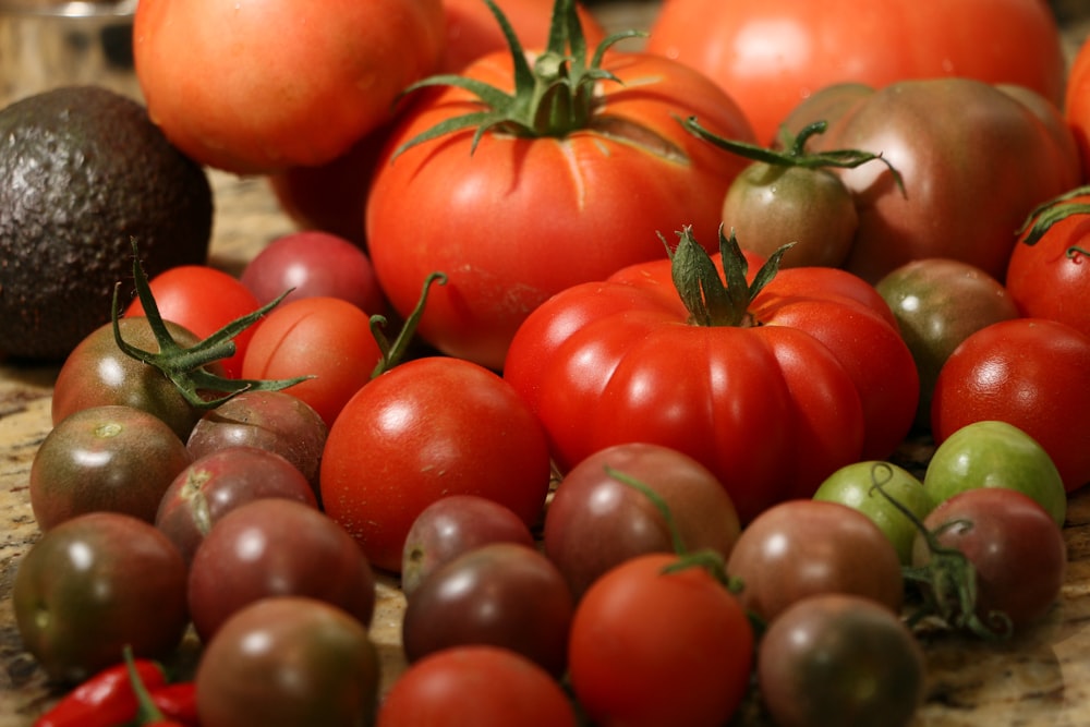 orange tomatoes on black steel rack