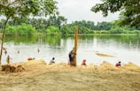 A serene riverside scene with several people engaged in harvesting activities. In the foreground, bundles of harvested plants are laid out on the sandy riverbank. People are wading in the calm water, which reflects the lush greenery of trees lining the opposite bank. The sky is overcast, adding a peaceful yet industrious atmosphere.