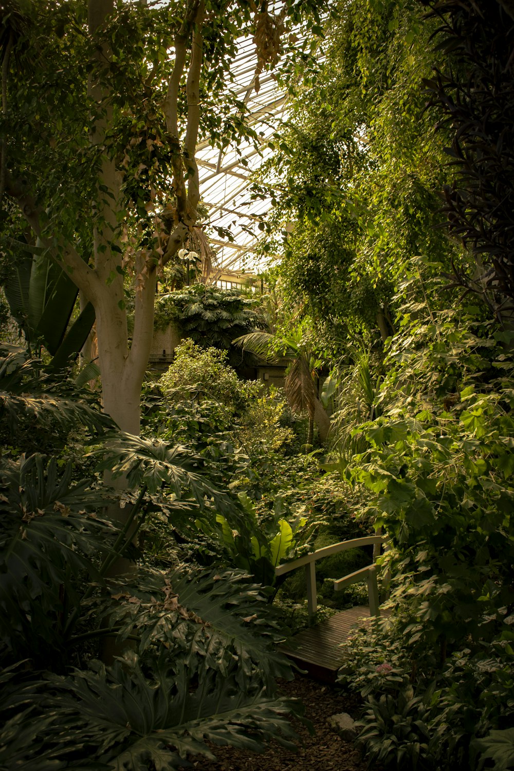 green trees and plants during daytime