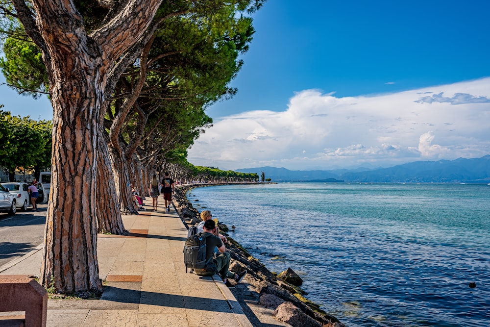 people walking on sidewalk near body of water during daytime