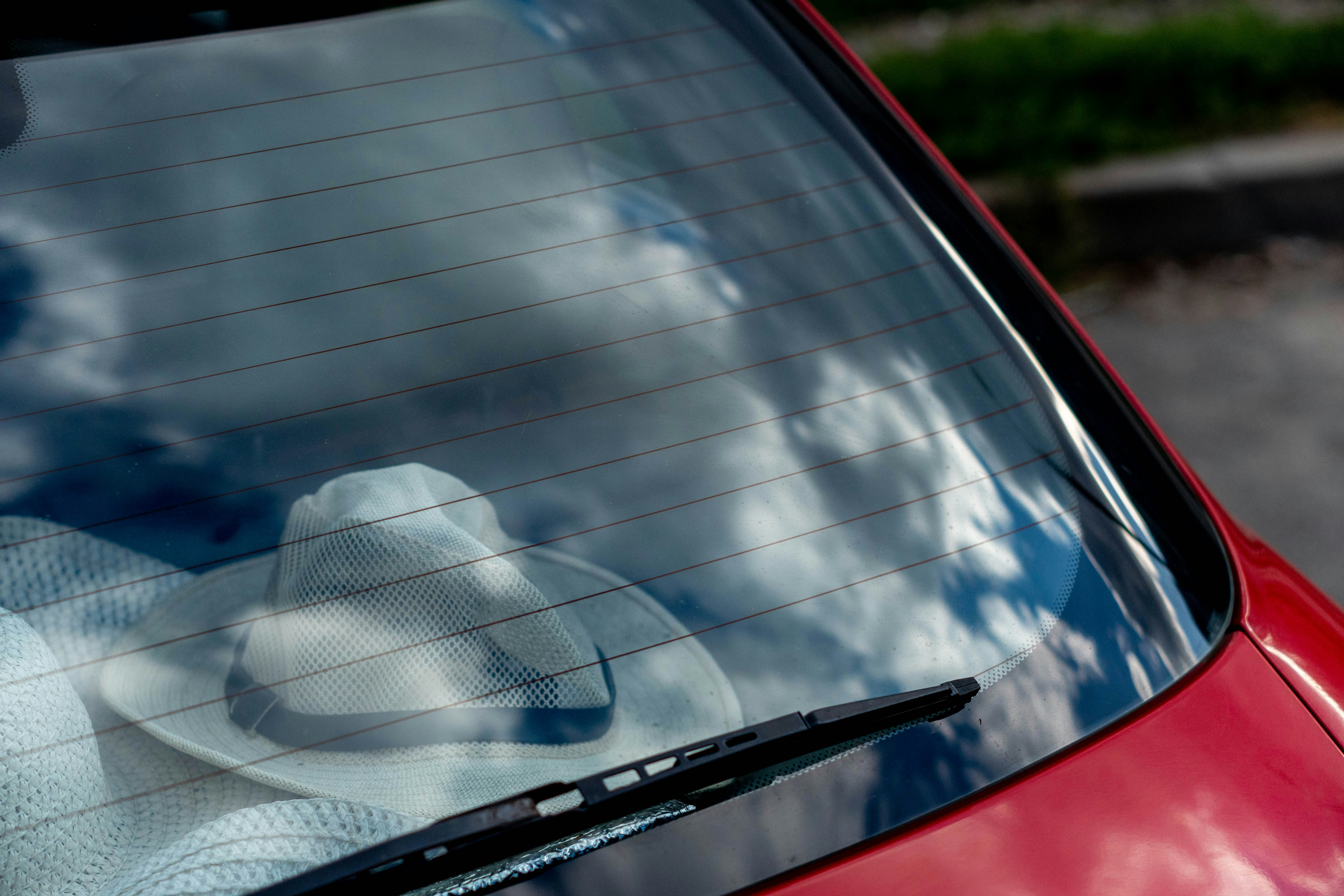 Photo by lostillusion