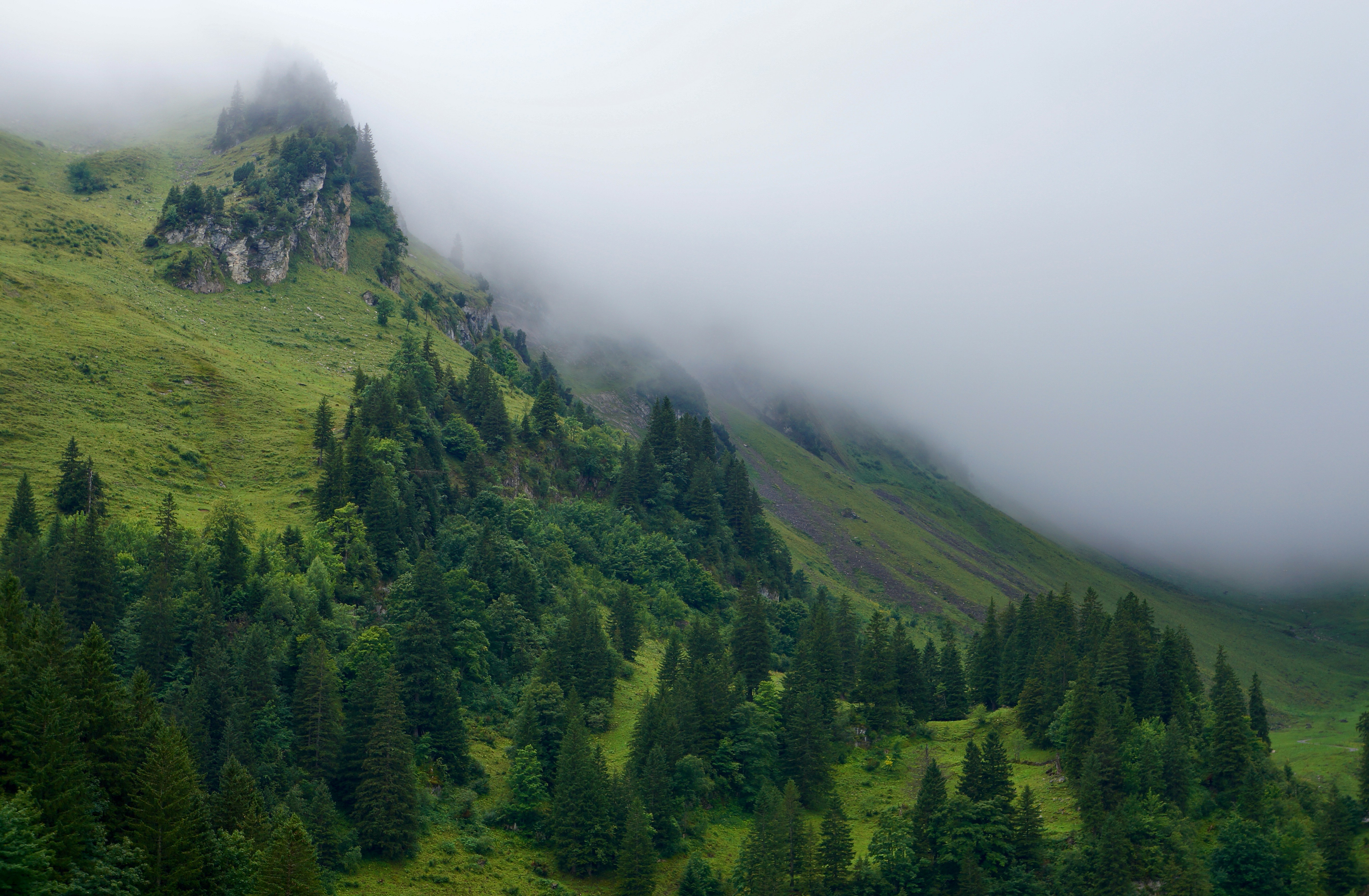 Photo by peterburdon