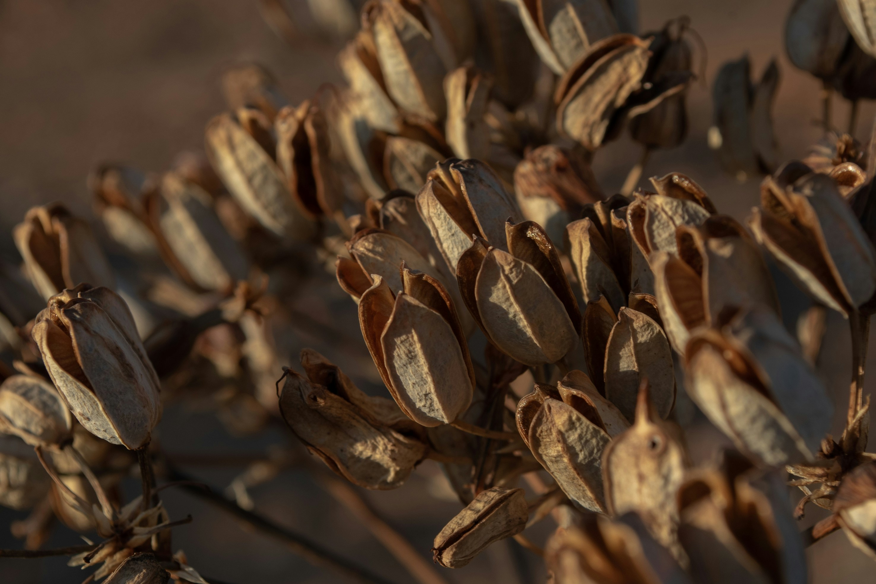 Photo by chrisna_studio