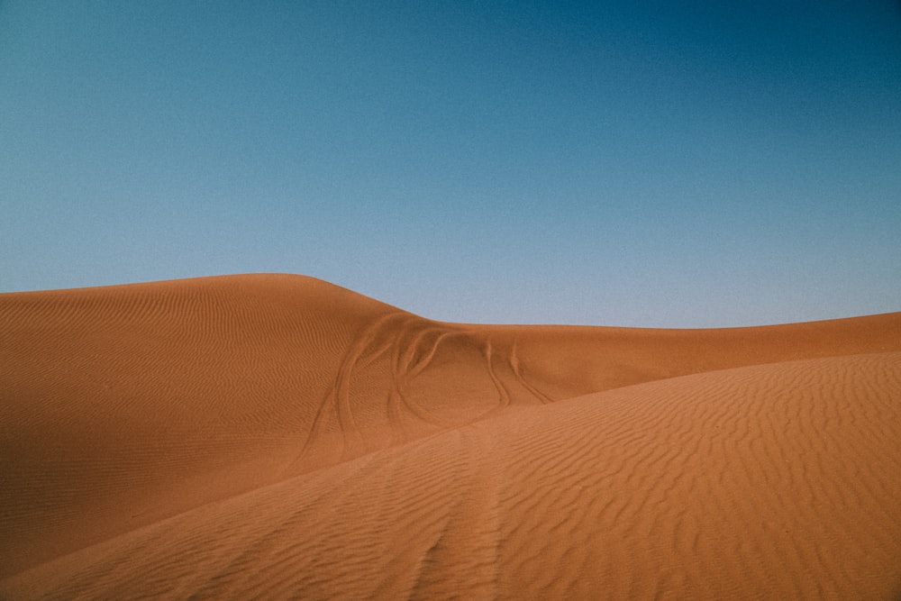 brown sand under blue sky during daytime