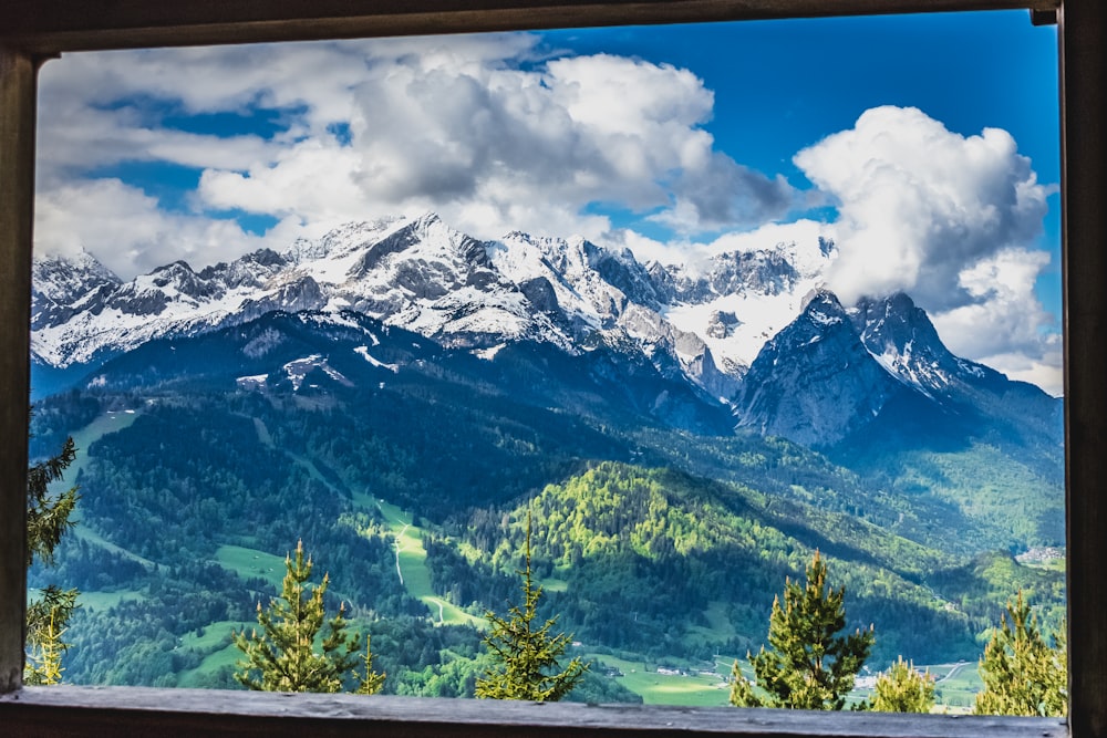 green trees near snow covered mountain during daytime