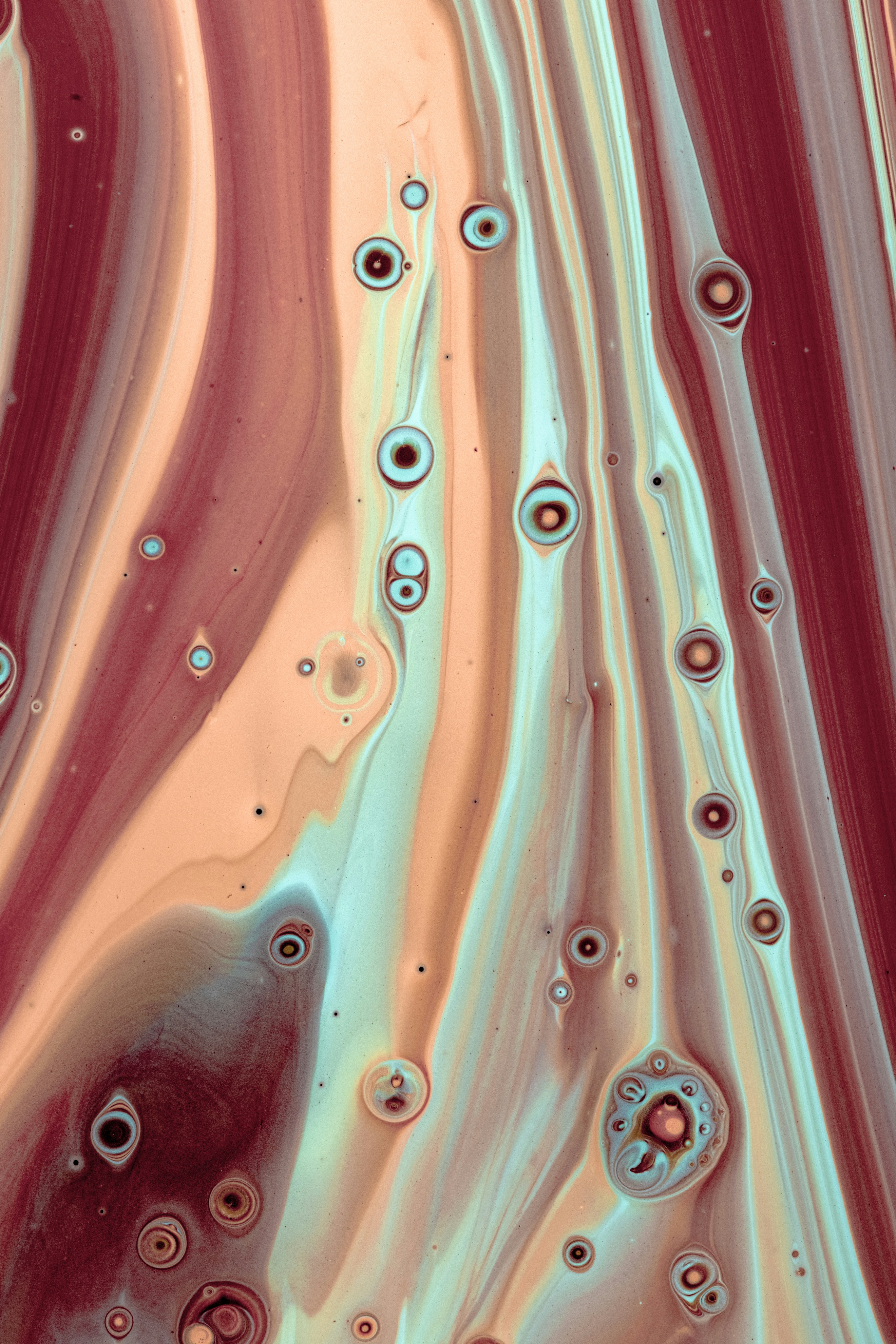 Photo by solenfeyissa