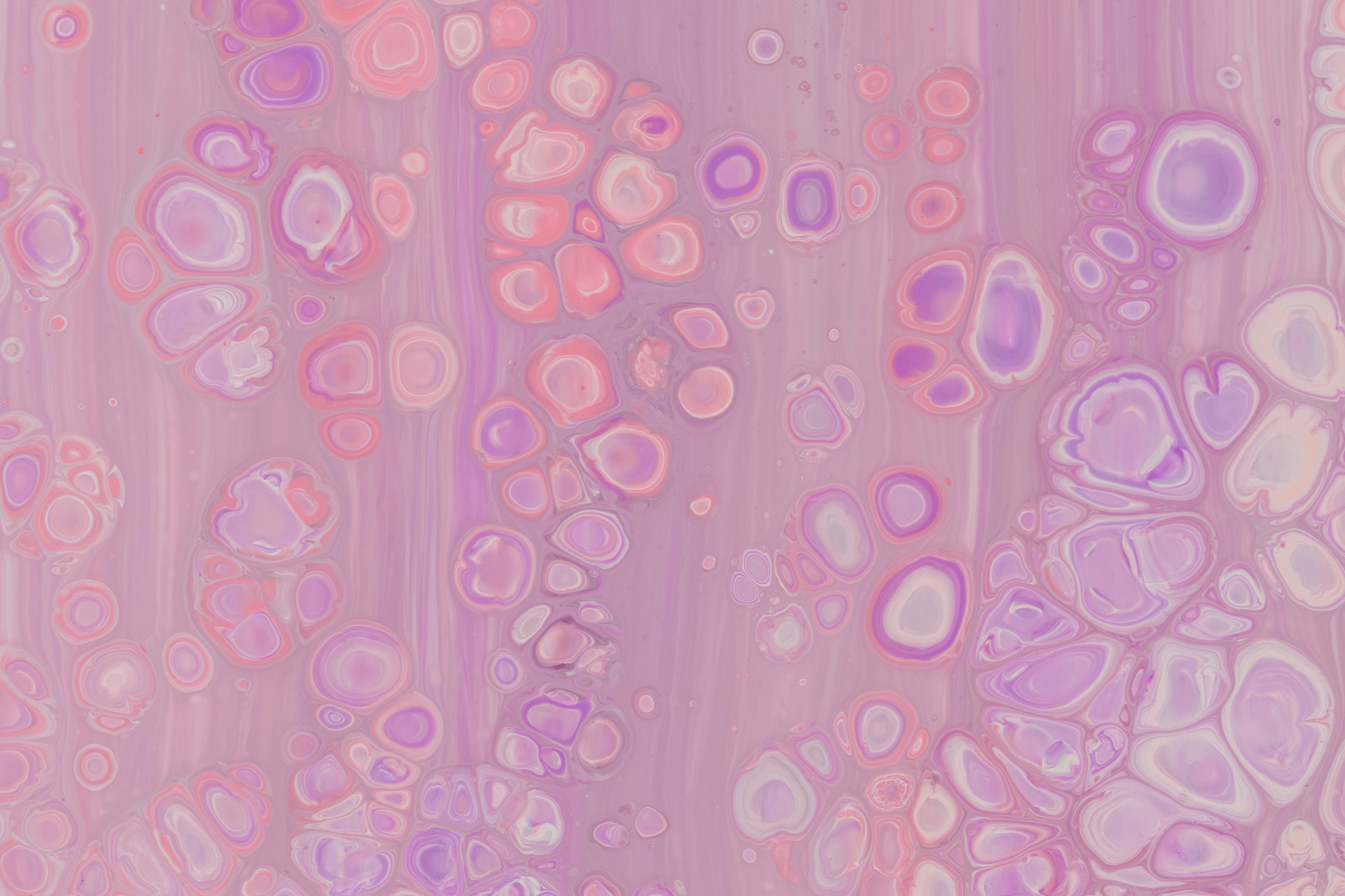 Textile à pois rose et blanc photo – Image gratuite de Fond d'écran sur  Unsplash, image size:3000x2000