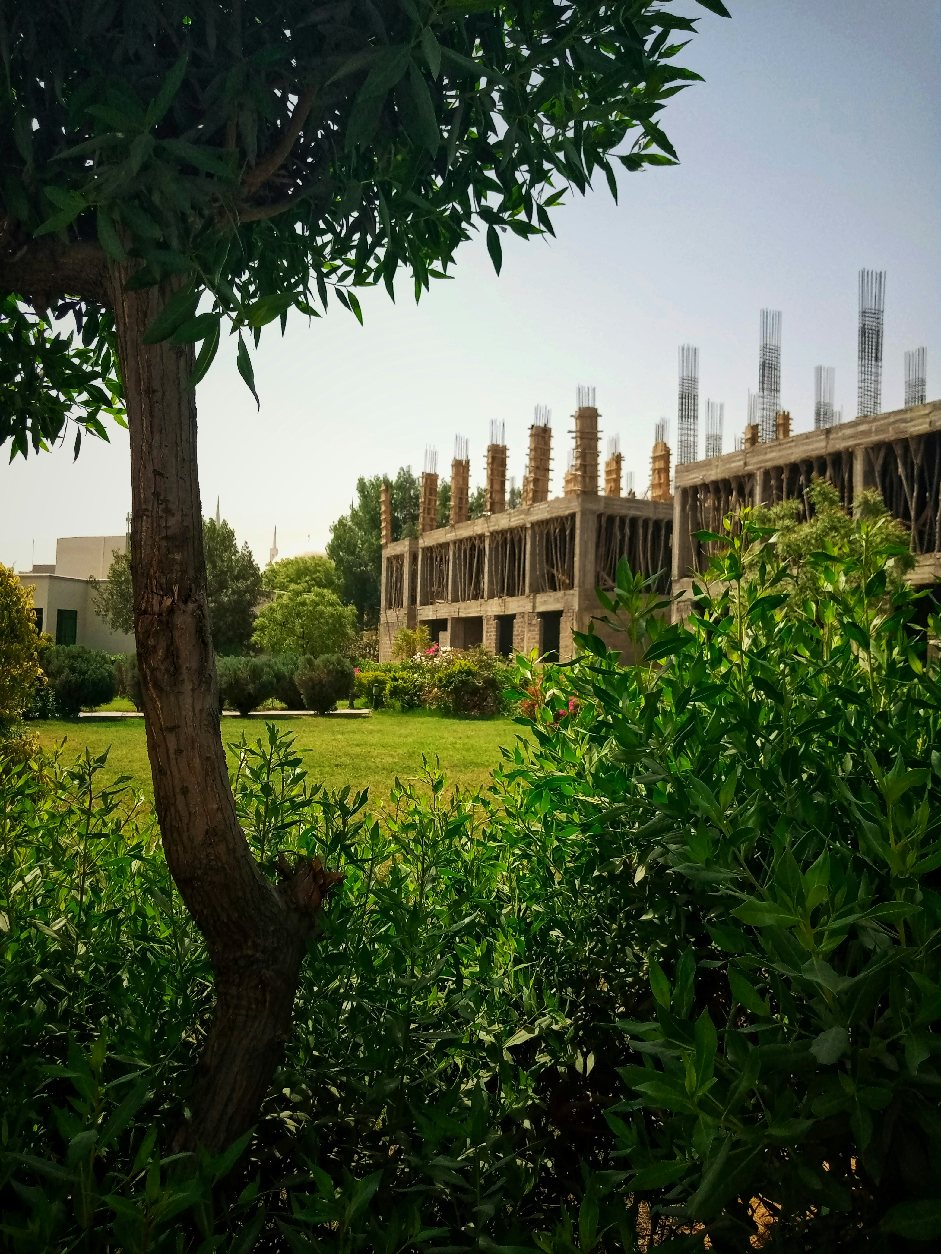 Mashhad Shahed University